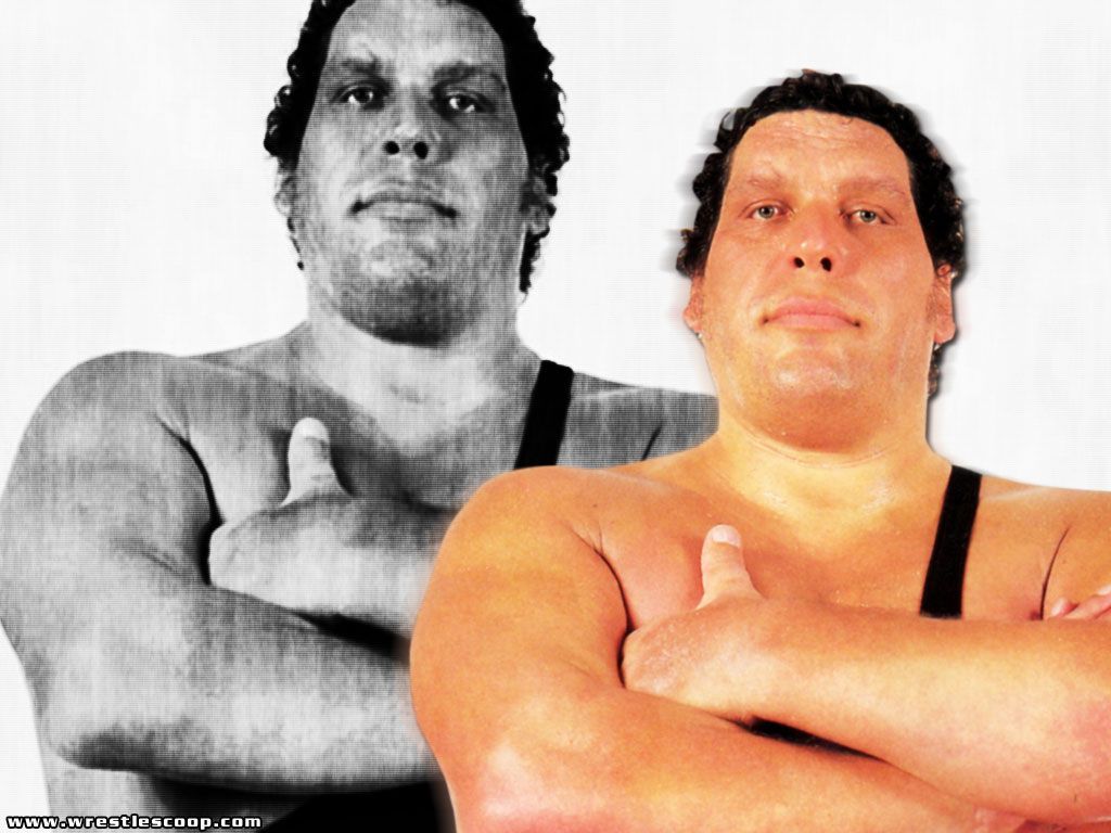 1024x768 WWE Andre The Giant Wallpaper
