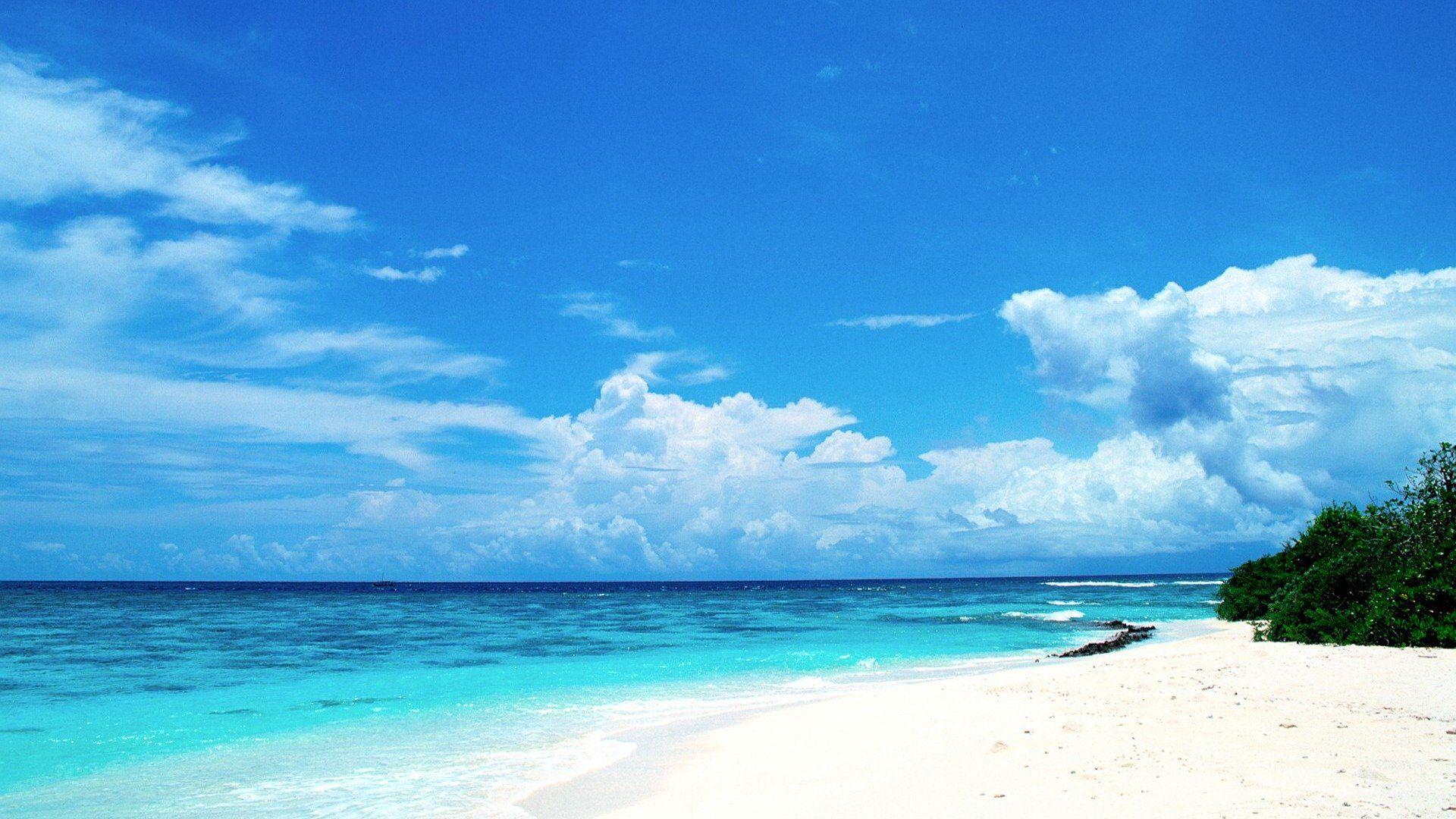 1920x1080 Nature HDs Free Download