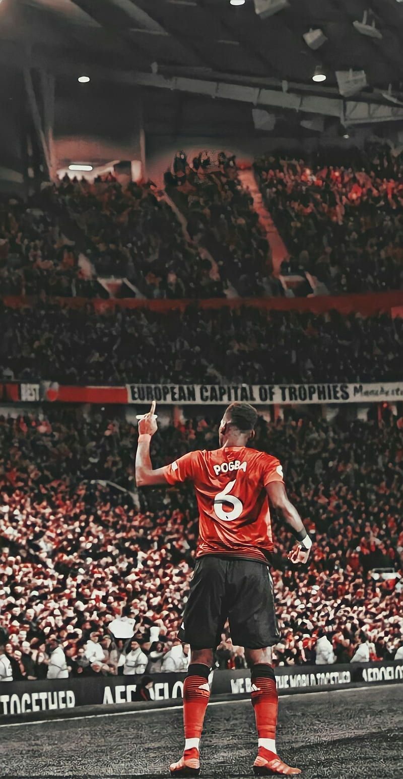 800x1545 HD phone wallpaper