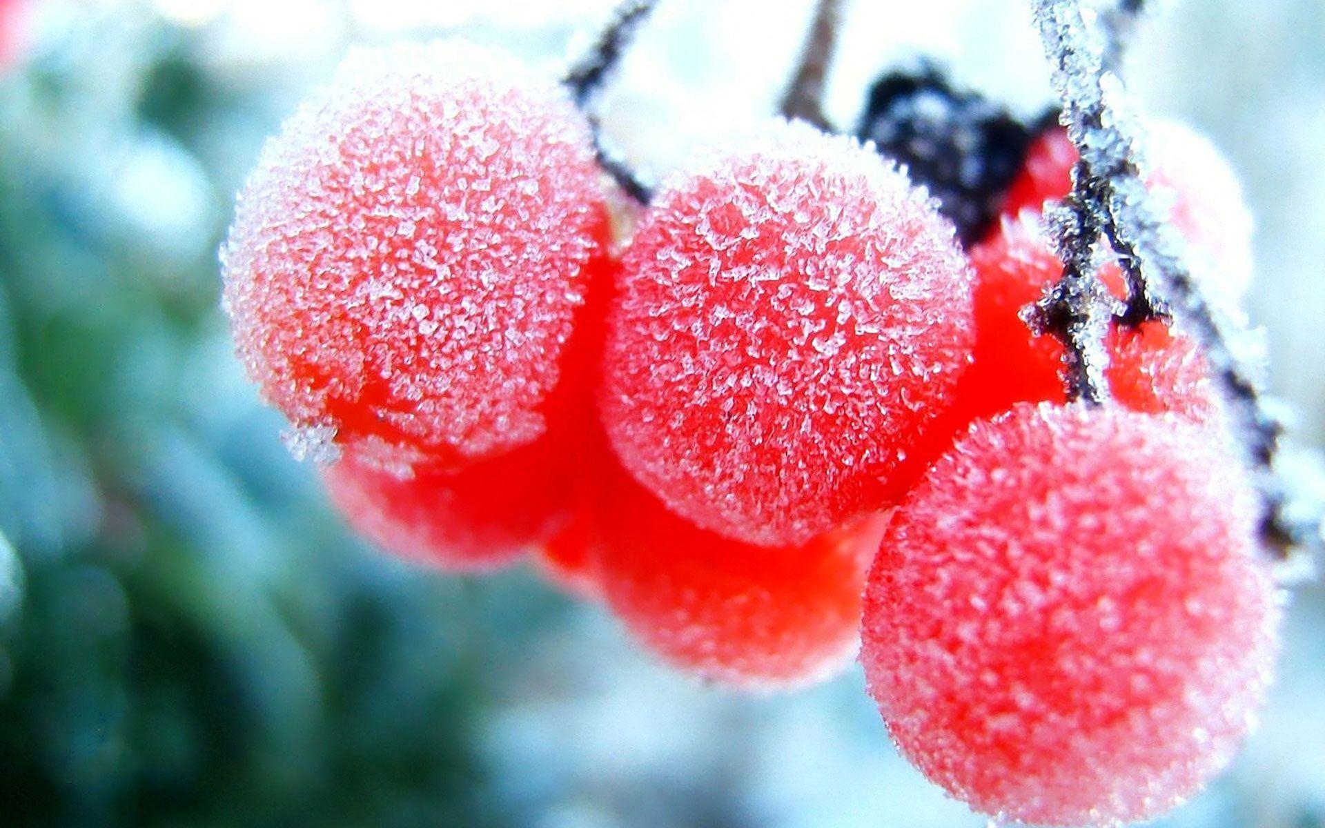 1920x1200 Fruit Wallpaper HD