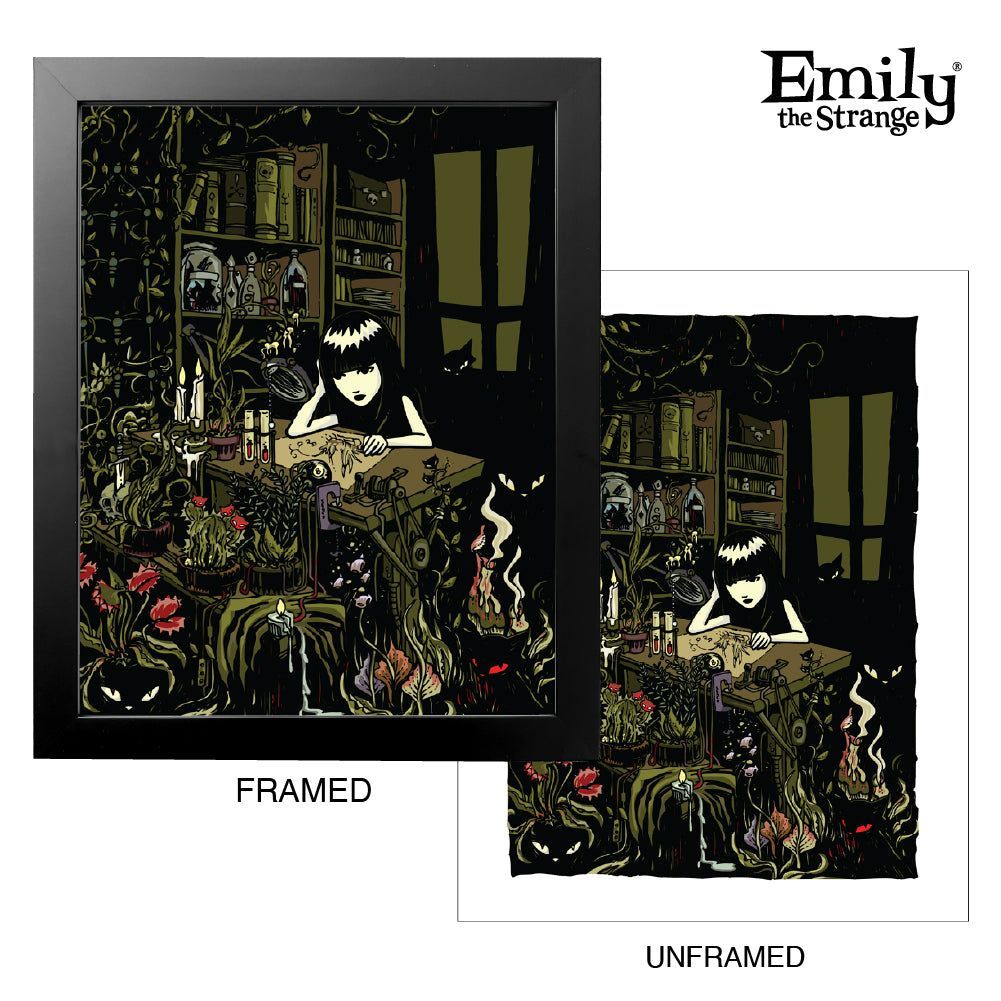 1001x1001 Art of Emily