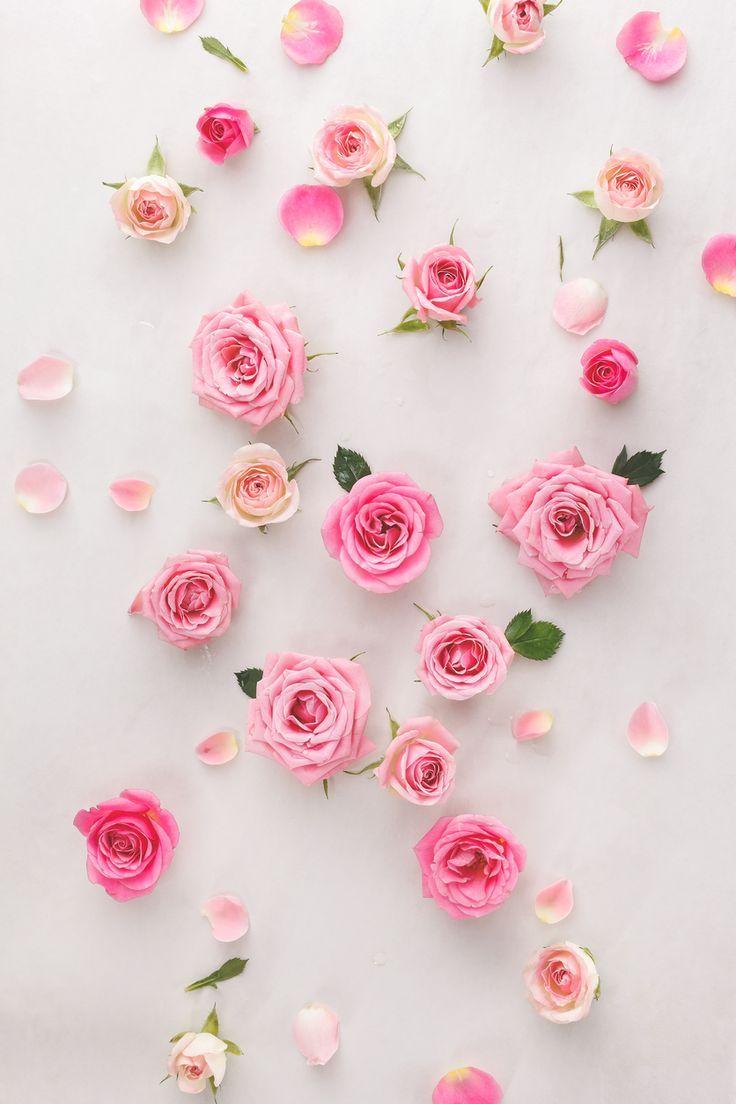 Cute Pink Flower Wallpapers - Top Free Cute Pink Flower Backgrounds