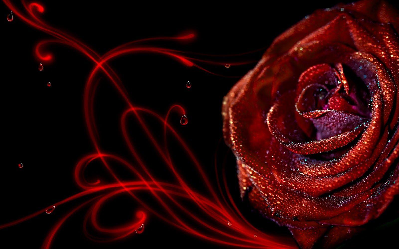 Abstract Rose Wallpapers Top Free Abstract Rose Backgrounds WallpaperAccess