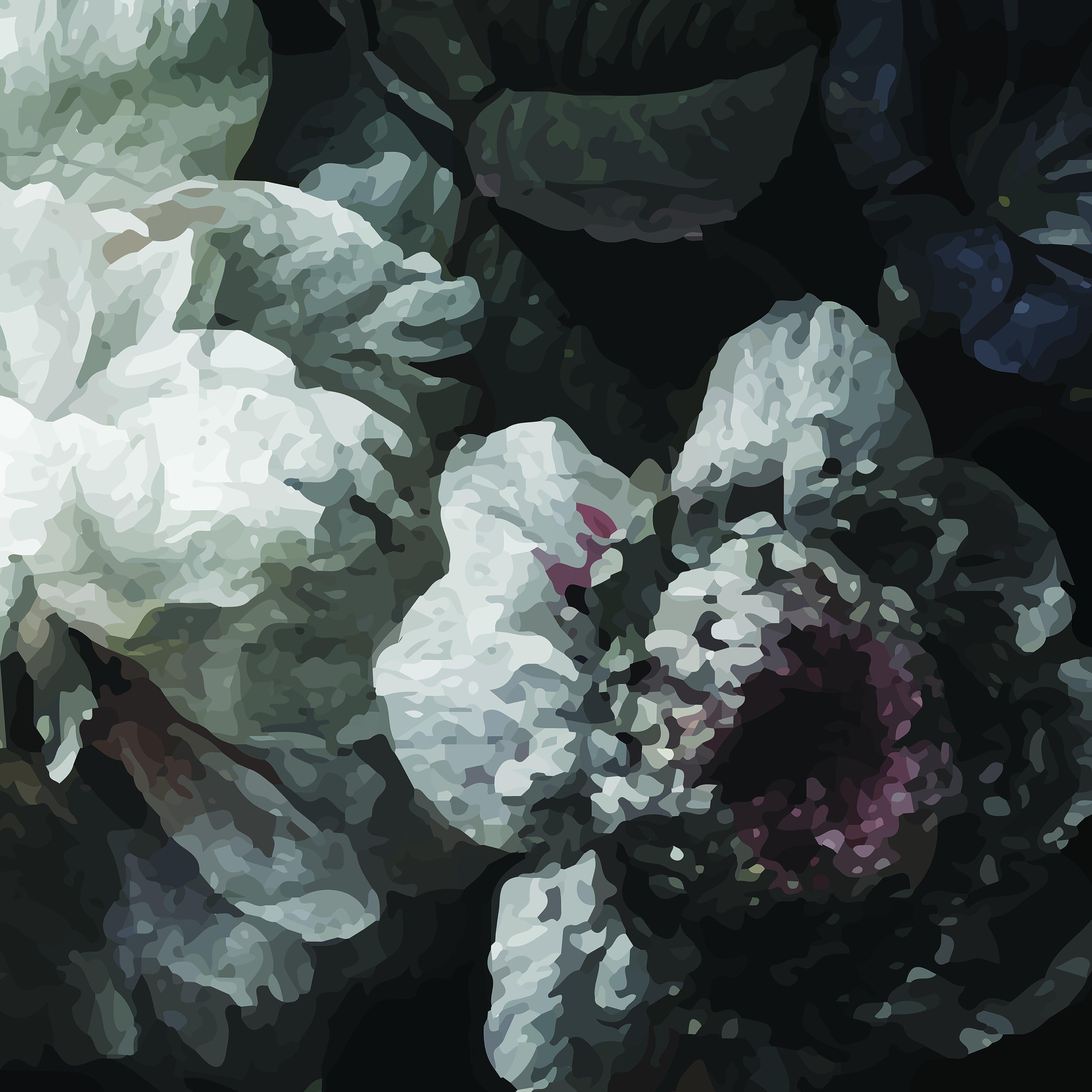 Dark Floral Wallpapers Top Free Dark Floral Backgrounds WallpaperAccess