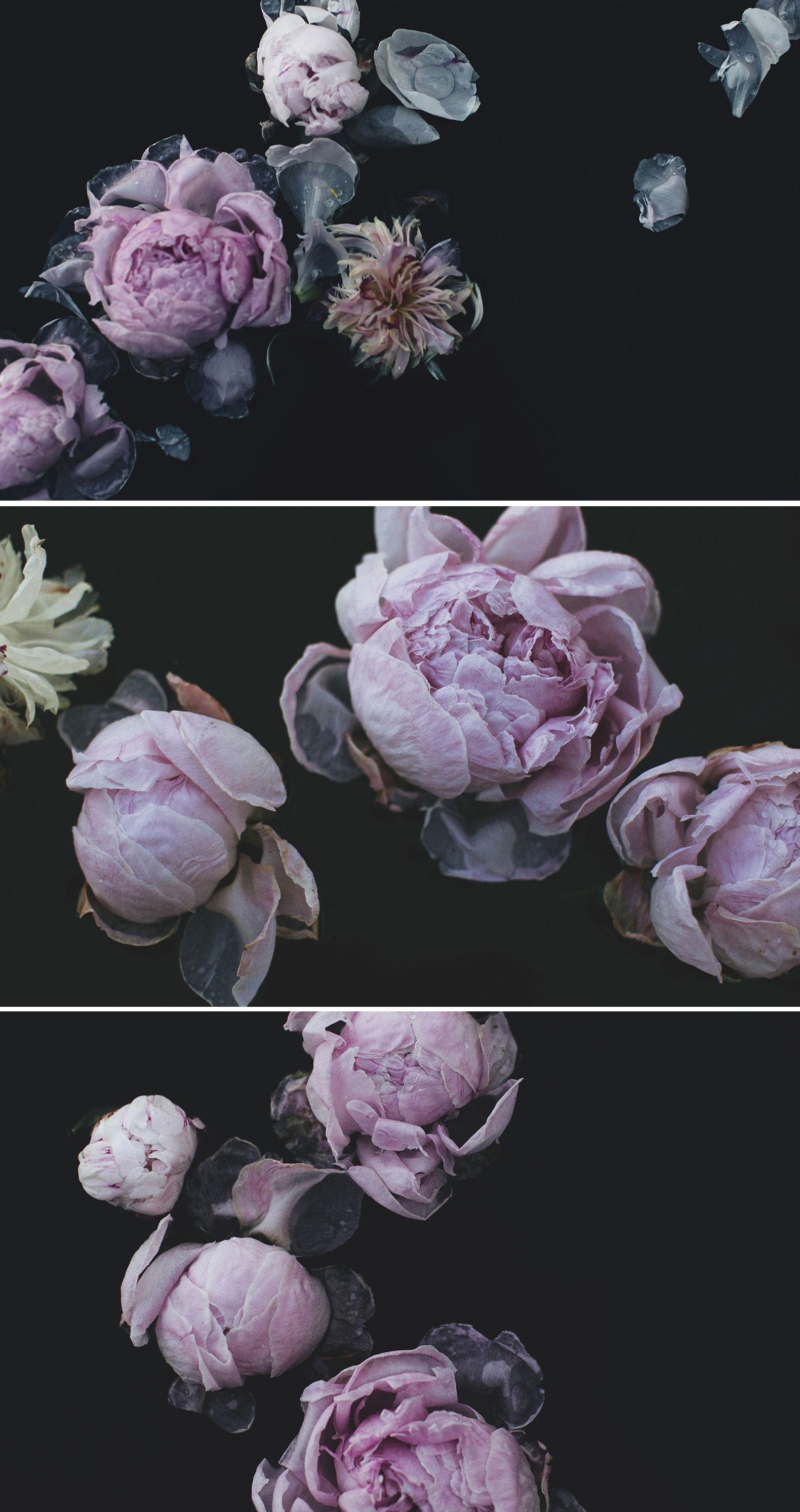Dark Floral Wallpapers - Top Free Dark Floral Backgrounds - WallpaperAccess