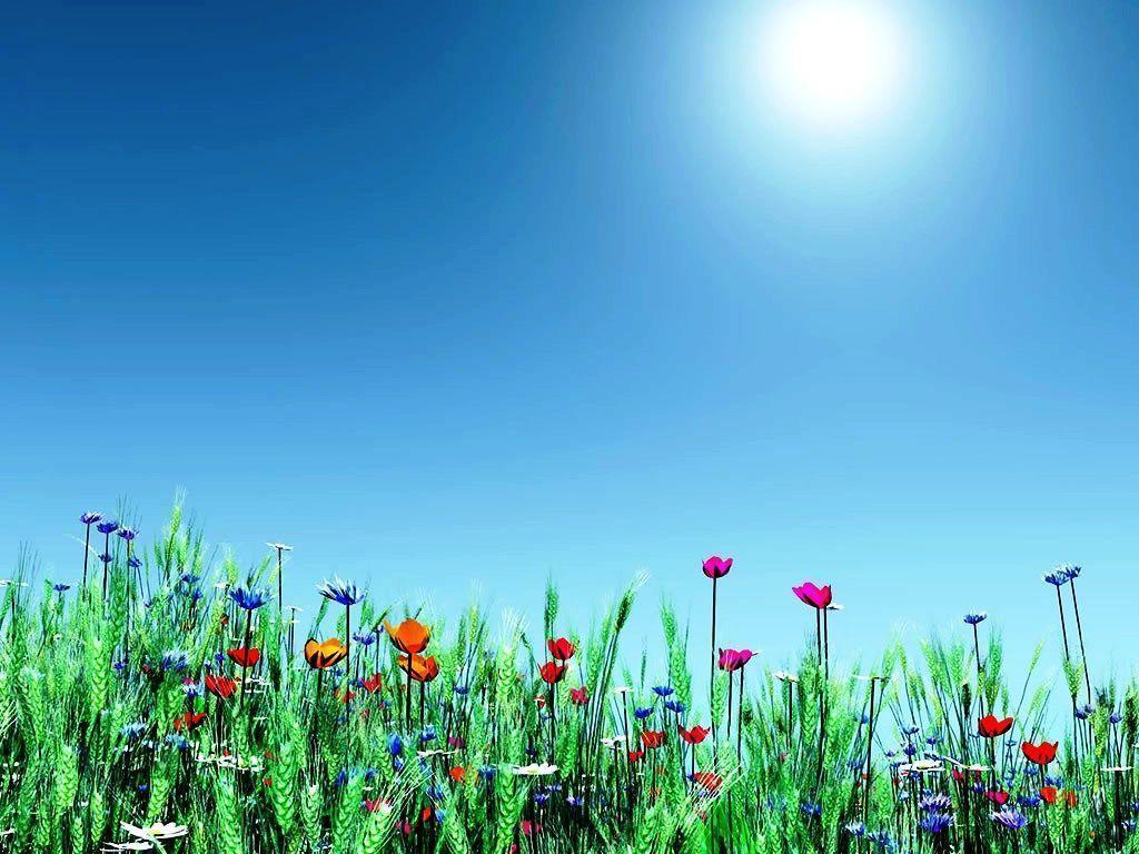 1024x768 Free Computer Wallpaper Background Spring