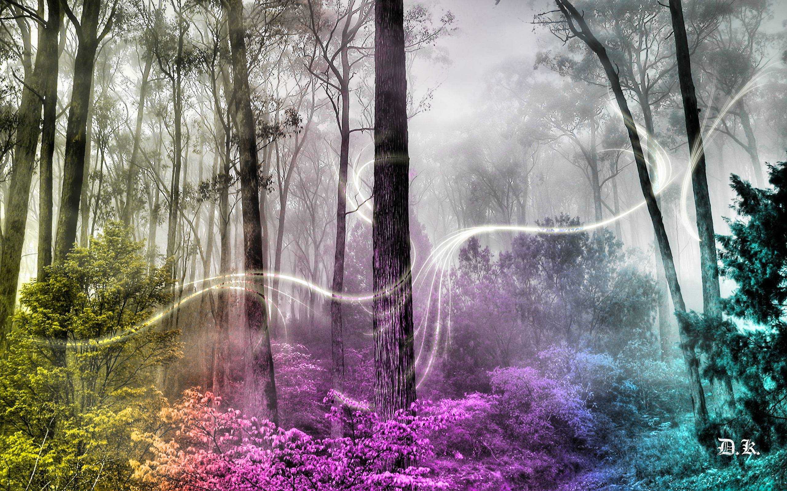 2560x1600 Full HD Of Enchanted Forest Background Hình nền Pc