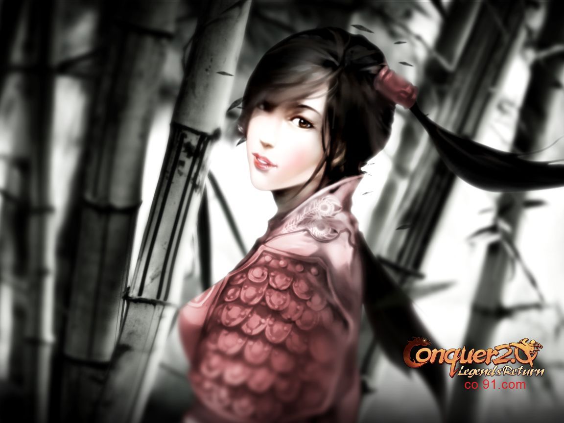 1152x864 Conquer Online: New Wallpaper