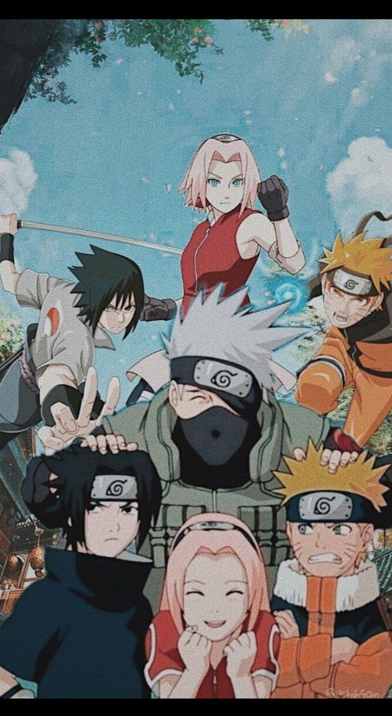 800x1462 HD phone wallpaper