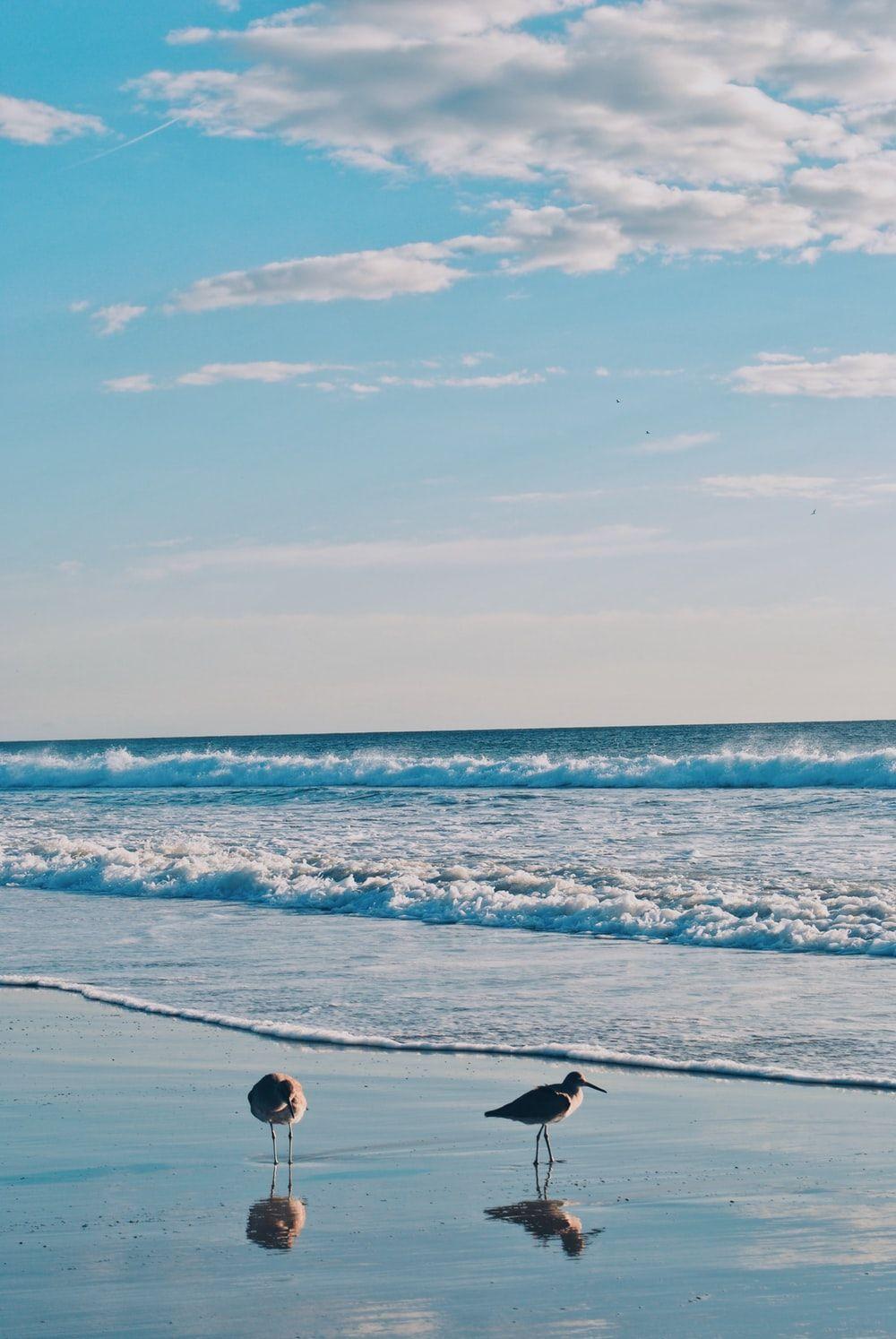 1000x1494 Future Wallpaper best free wallpaper, outdoor