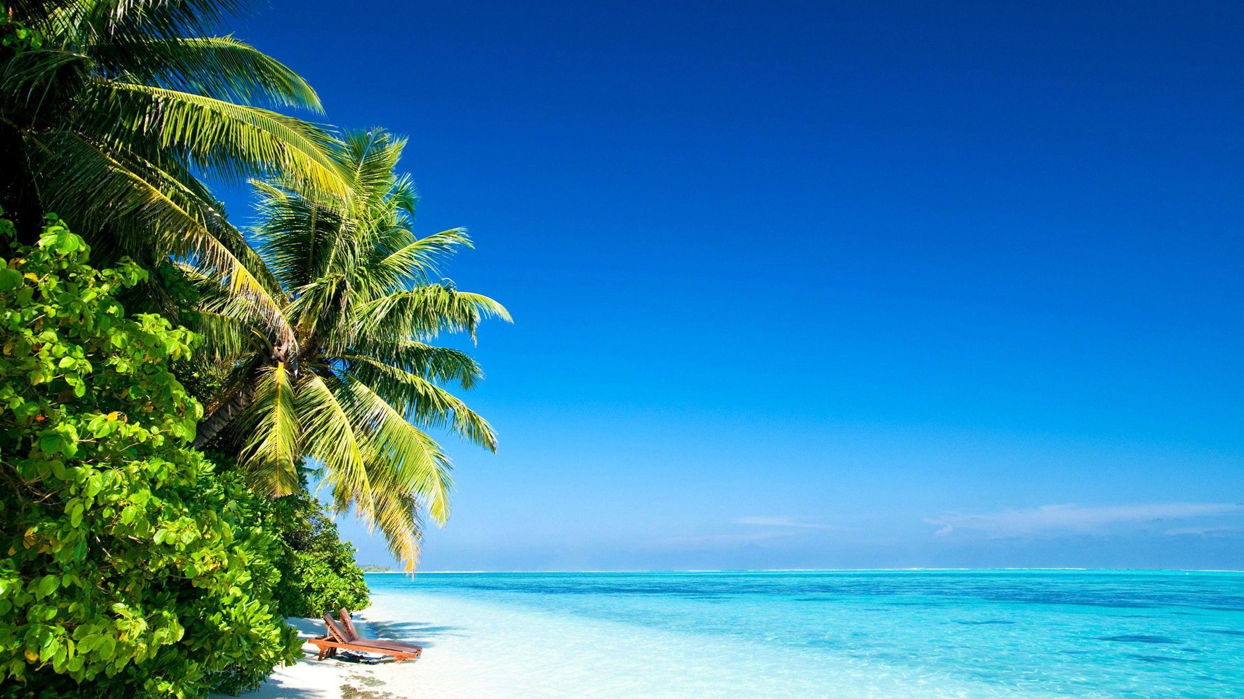 2560x1440 Tropical ocean wallpaper