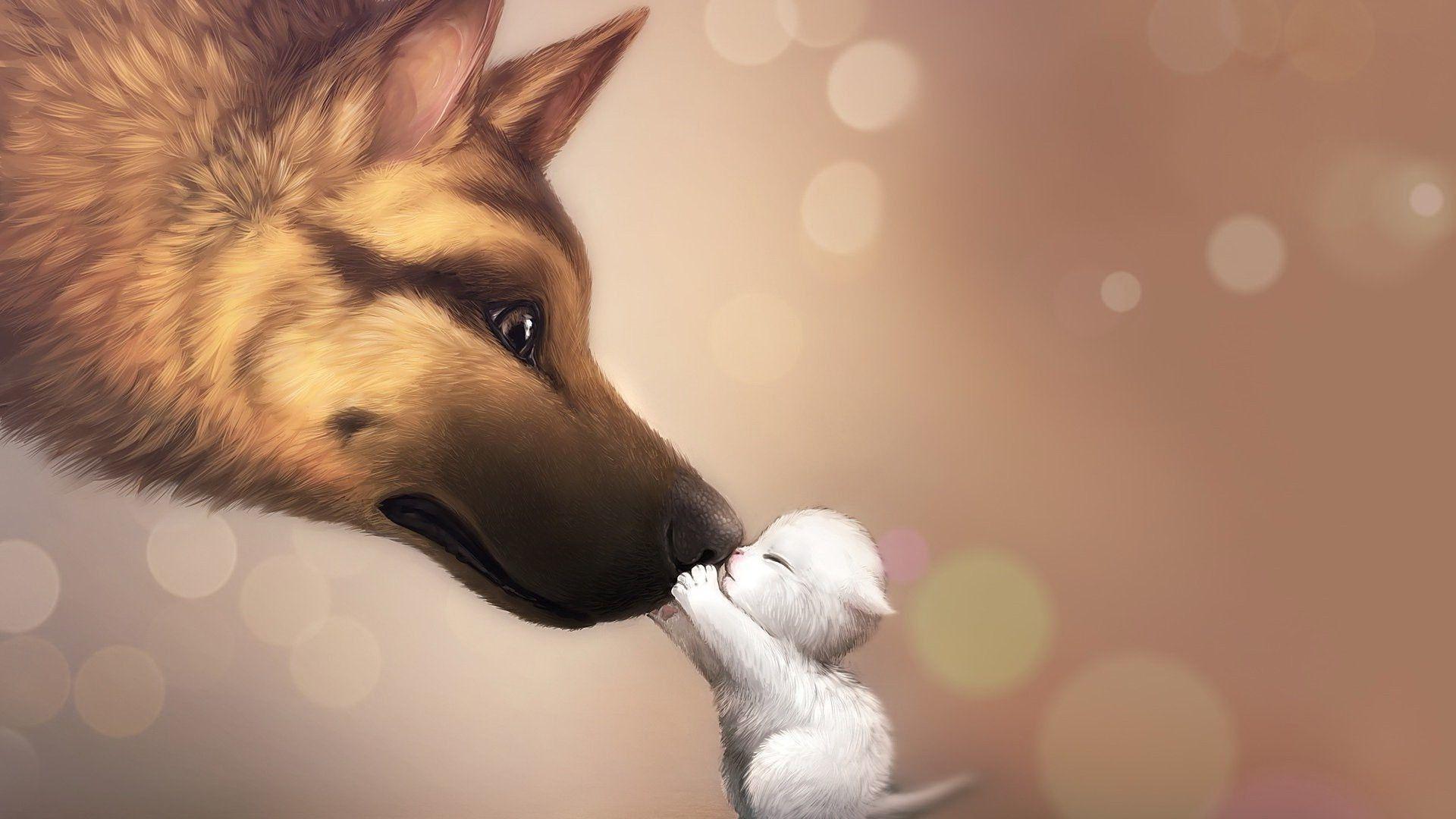 1920x1080 Baby Wolf Wallpaper background picture