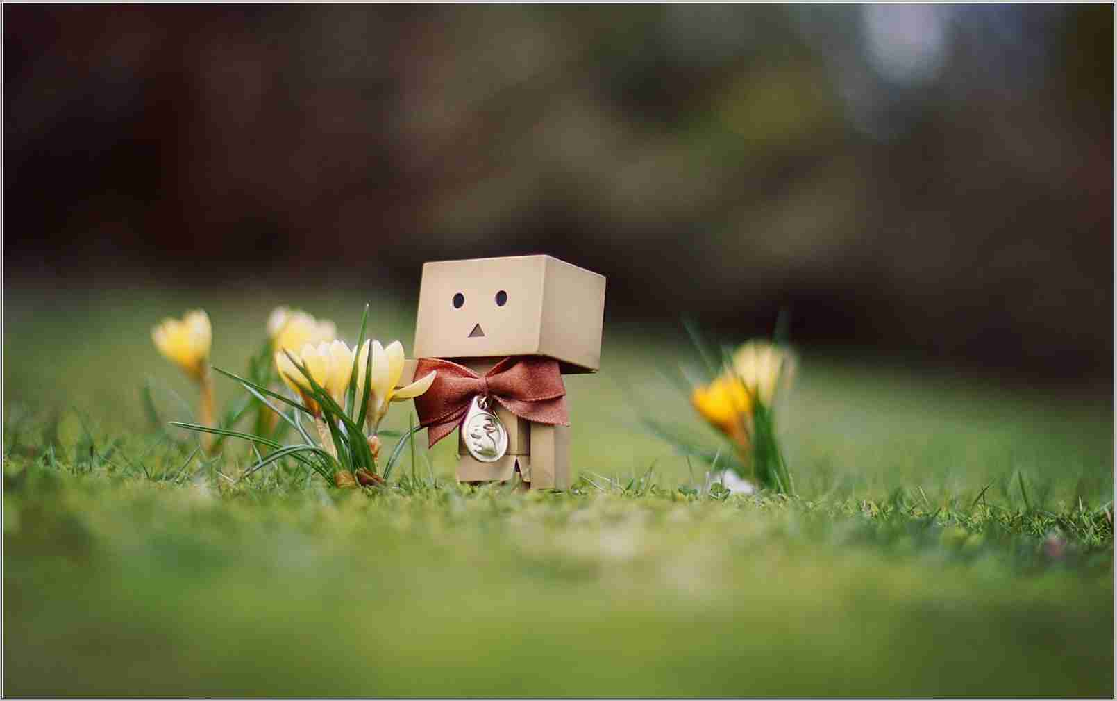 1609x1009 Best of 24 adorable wallpaper free download