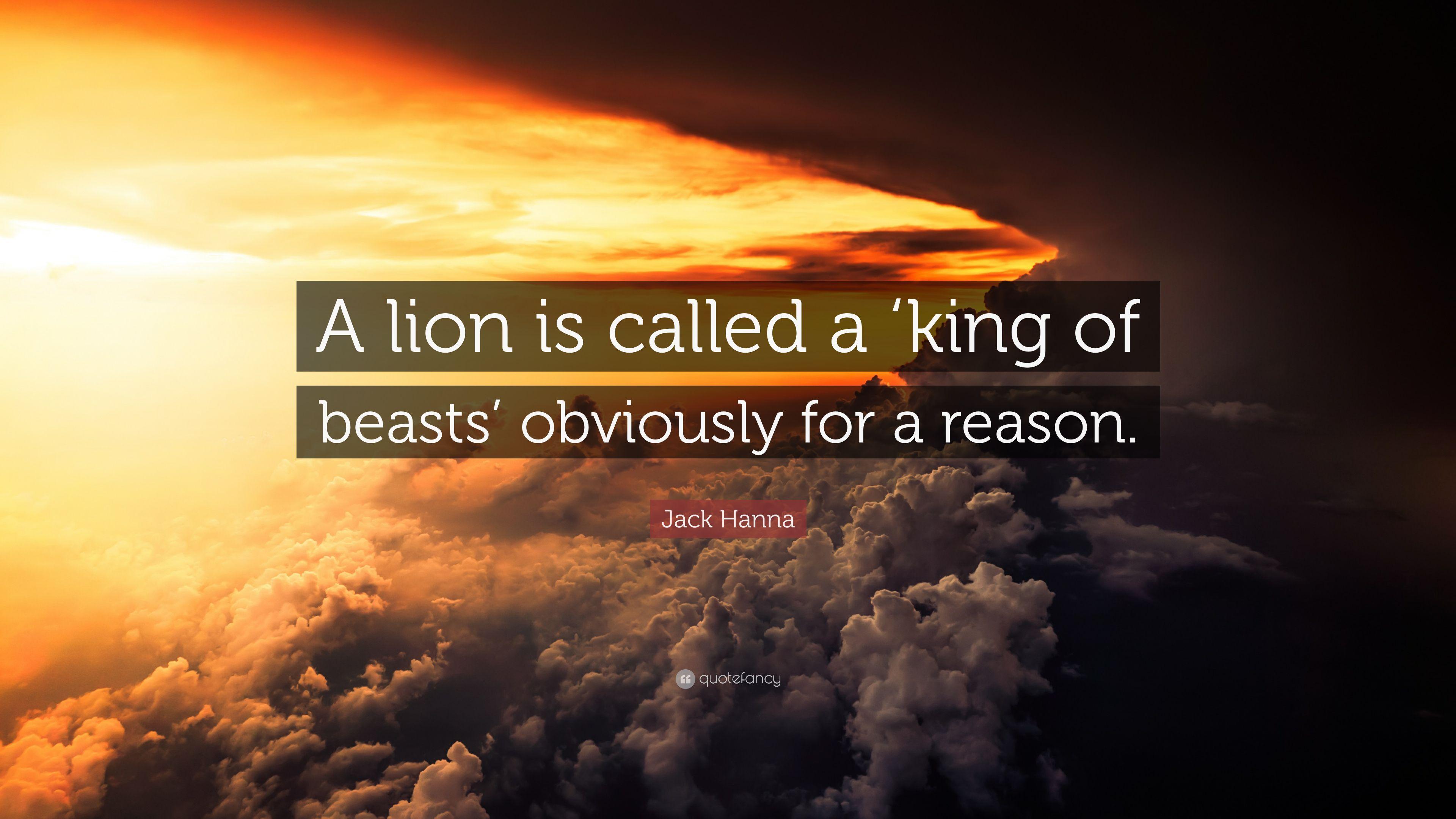 3840x2160 Jack Hanna Quote: “A lion is called a 'king of beasts