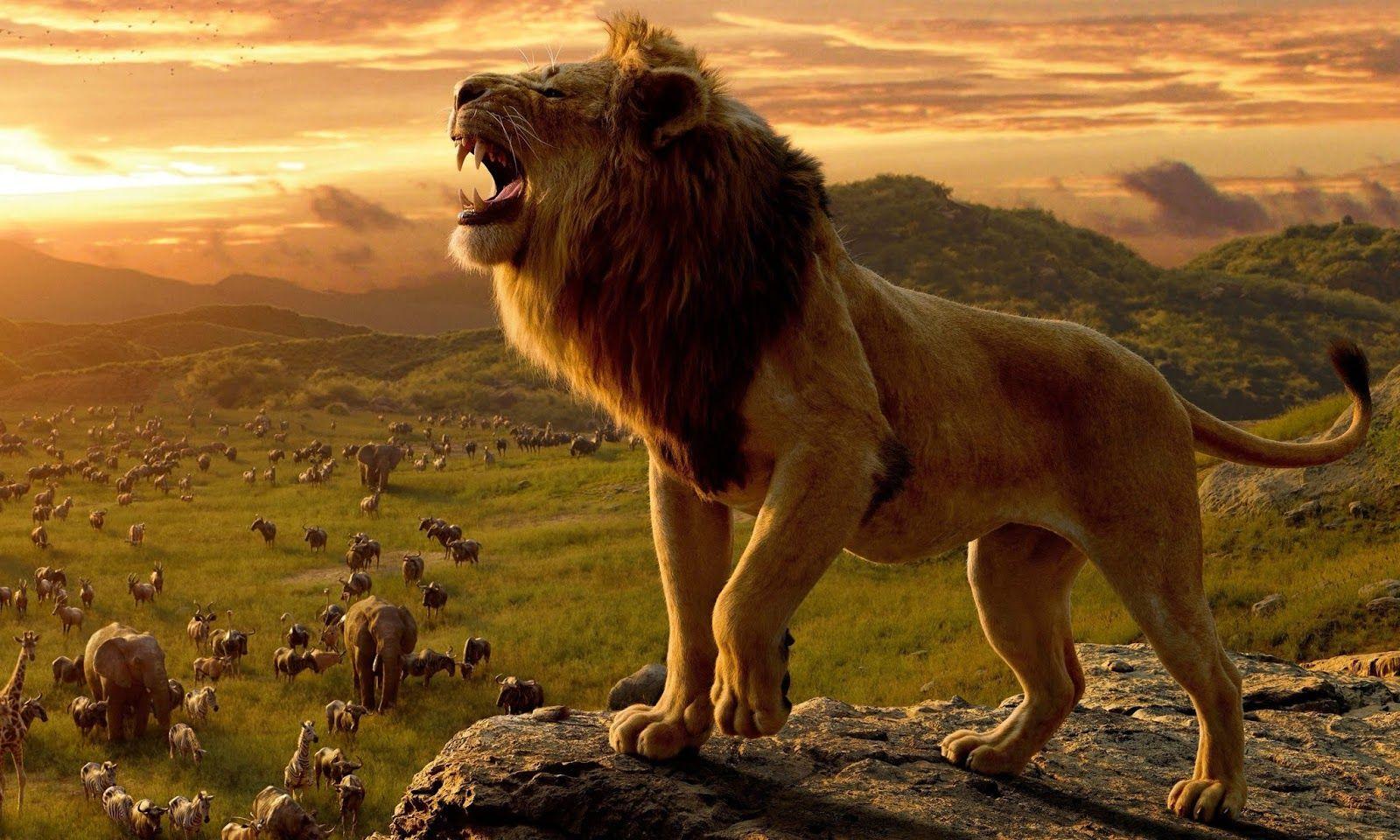 disneys lion king free online disneys lion king free online