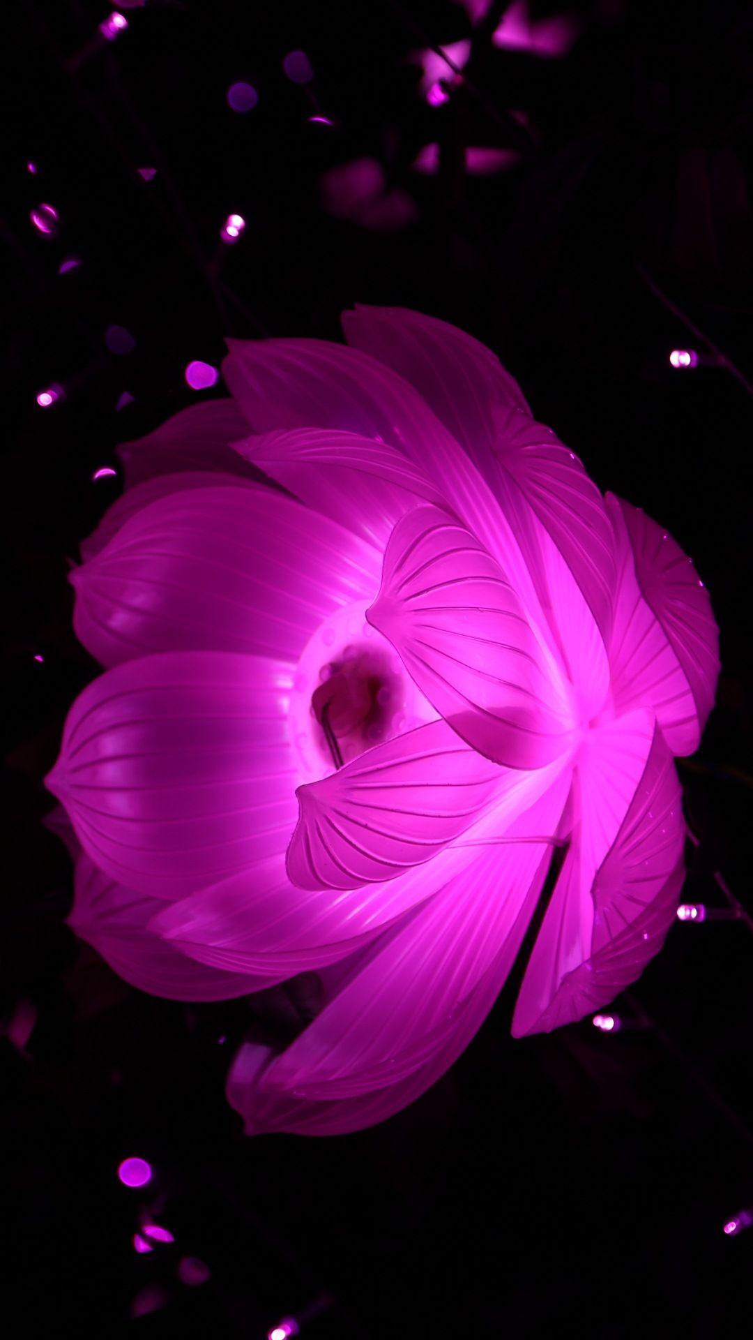 1080x1920 Dark Flower Wallpaper iPhone - Pink Flower Black Background iPhone