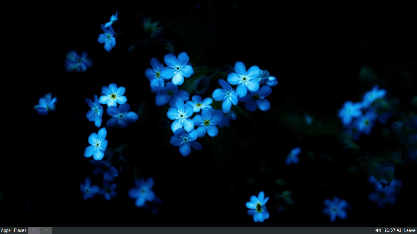 Dark Flower Wallpapers Top Free Dark Flower Backgrounds WallpaperAccess