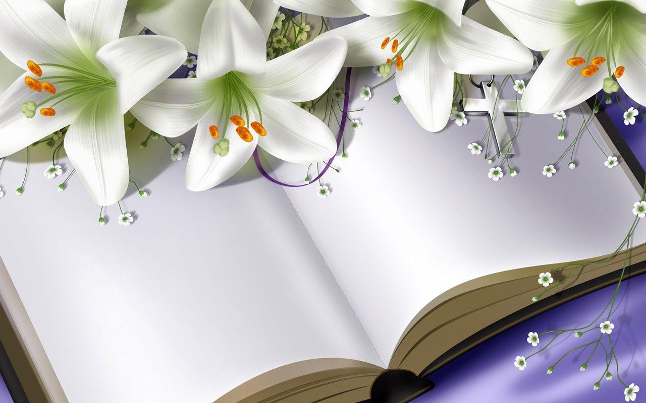 1280x800 White Lily Flower wallpaperx800