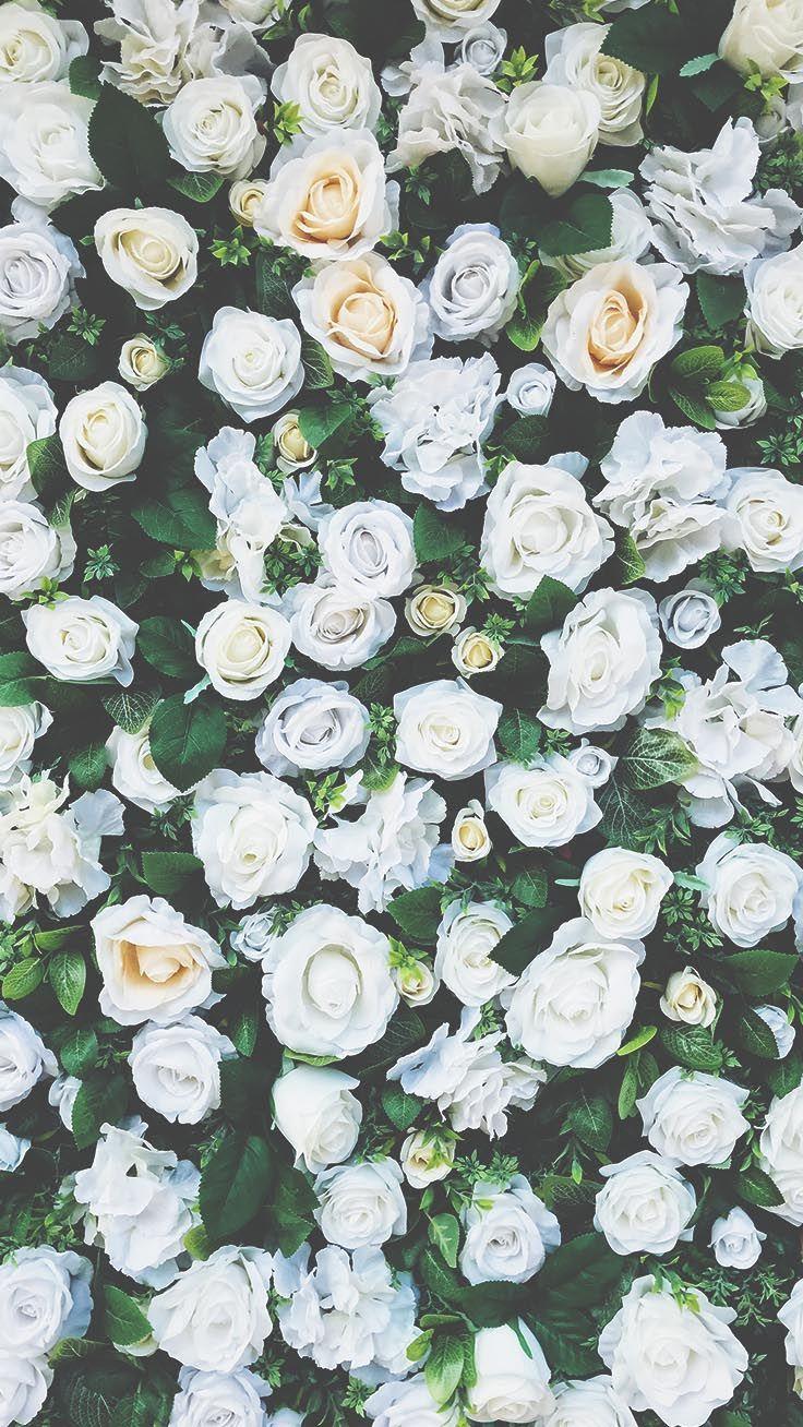 736x1308 Romantic Roses iPhone X Wallpaper. Preppy Wallpaper. Floral wallpaper iphone, Wallpaper iphone roses, Rose wallpaper