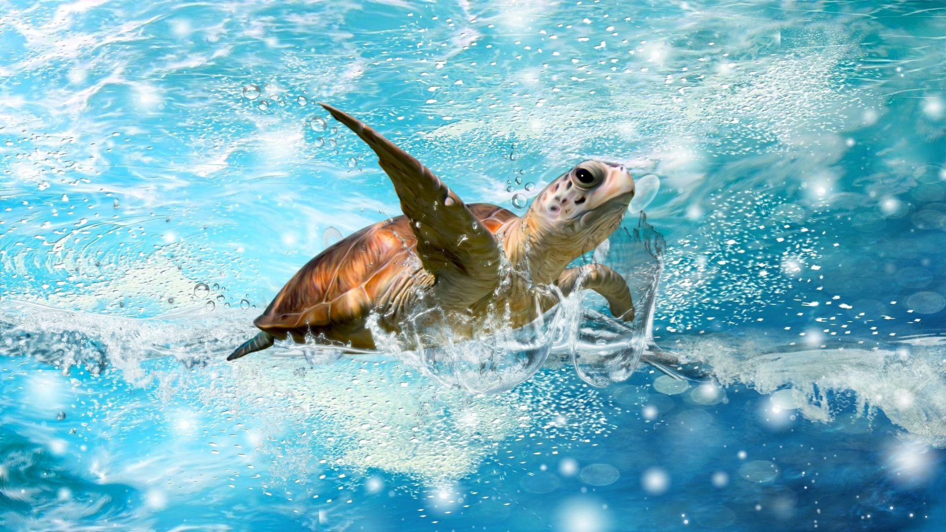 1920x1080 Ocean, Sea Turtle HD Wallpaper & Background • 31819 • Wallur