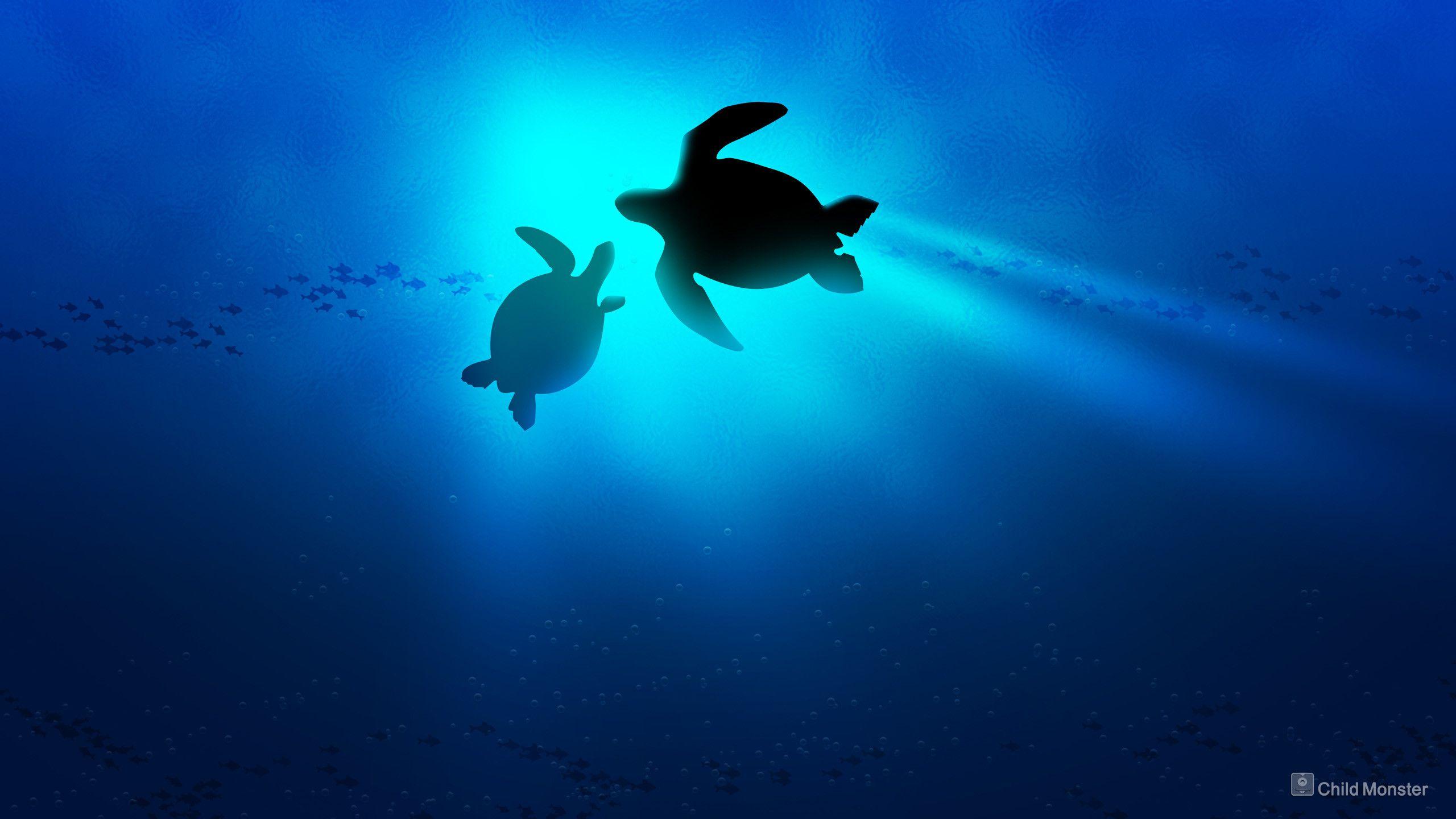 2560x1440 Baby Turtle Wallpaper