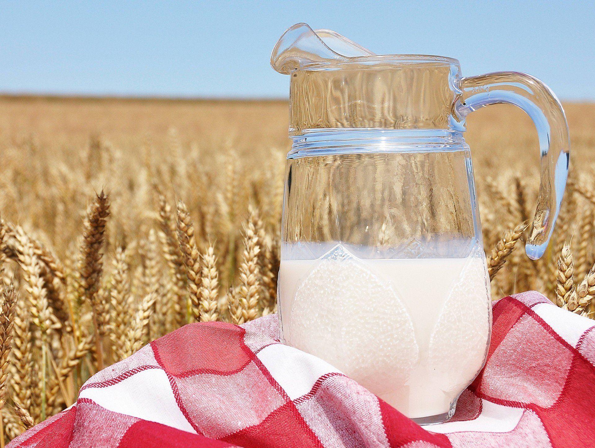 Milk HD Wallpapers - Top Free Milk HD Backgrounds - WallpaperAccess