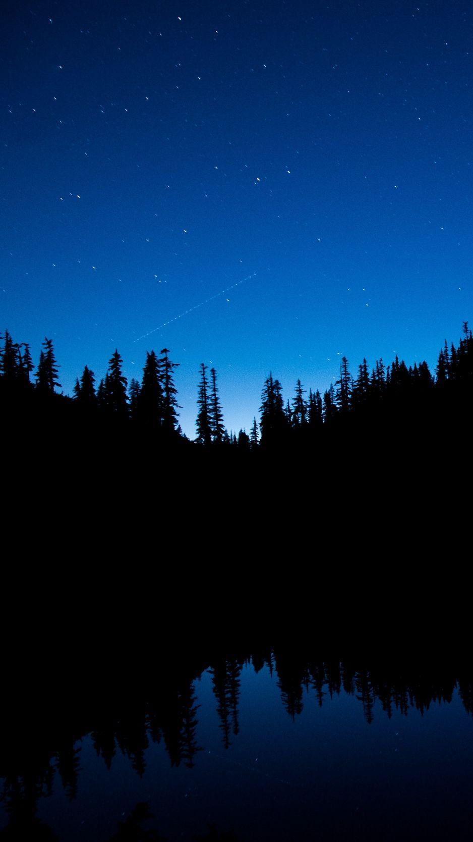 938x1668 Download wallpaper 938x1668 night sky, trees, starry sky