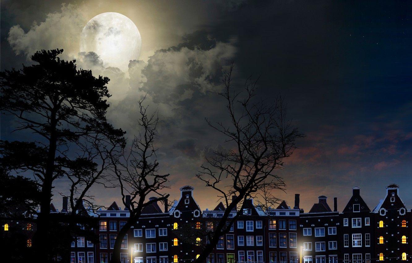 1332x850 Wallpaper the sky, clouds, trees, landscape, the moon, moon
