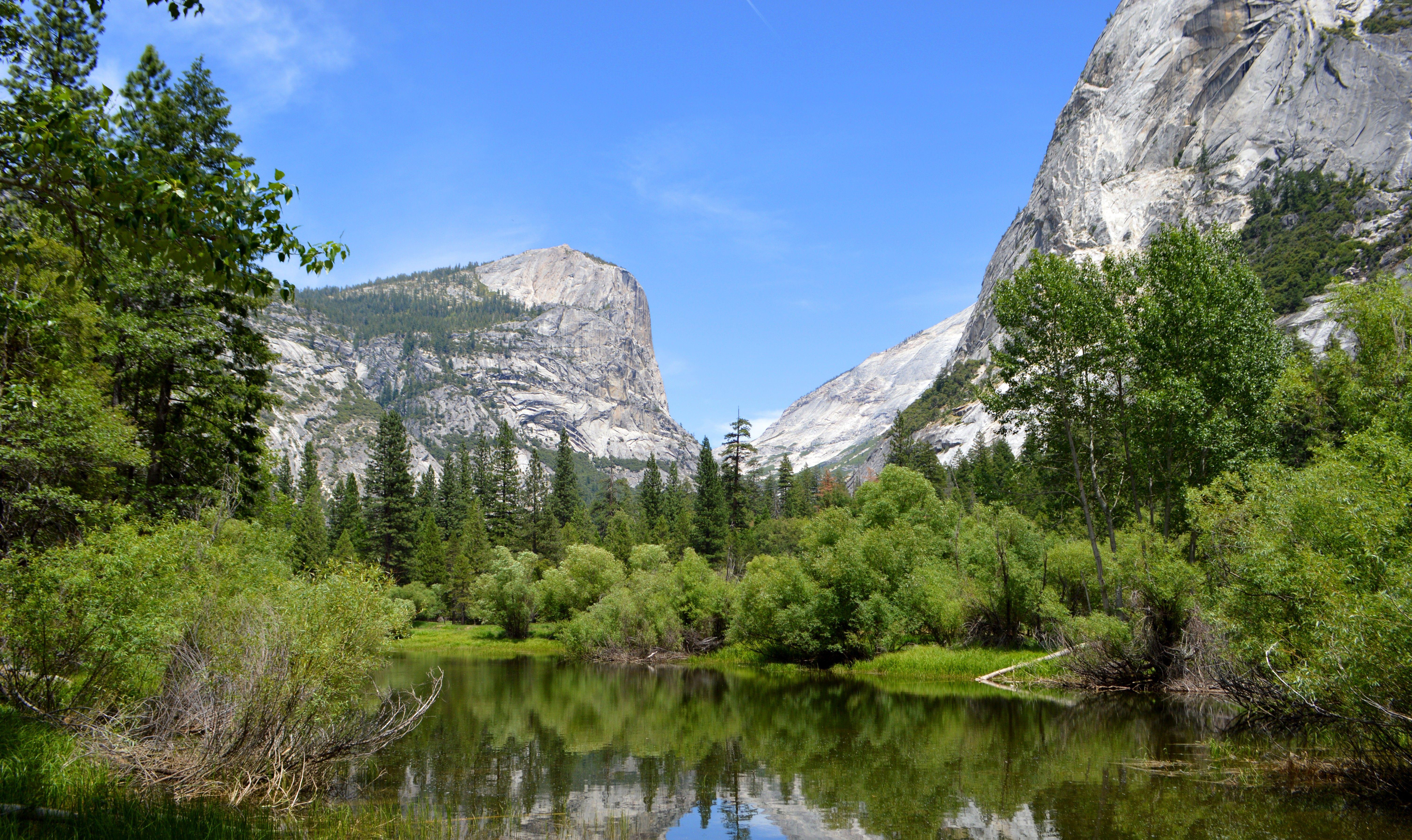 6016x3581 Free download Yosemite Wallpaper Nature Forest Yosemite 5k wallpaper forest [6016x3581] for your Desktop, Mobile & Tablet. Explore Yosemite 8K WallpaperK Wallpaper, Ultra HD Wallpaper, UHD Wallpaper