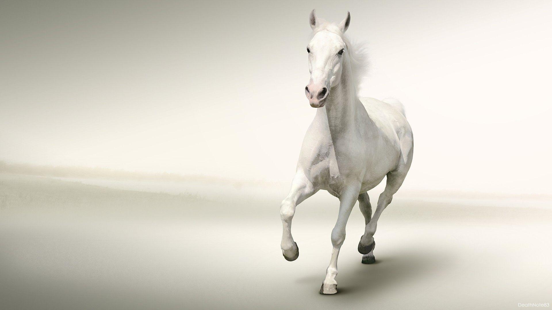 1920x1080 Running Horse Wallpaper