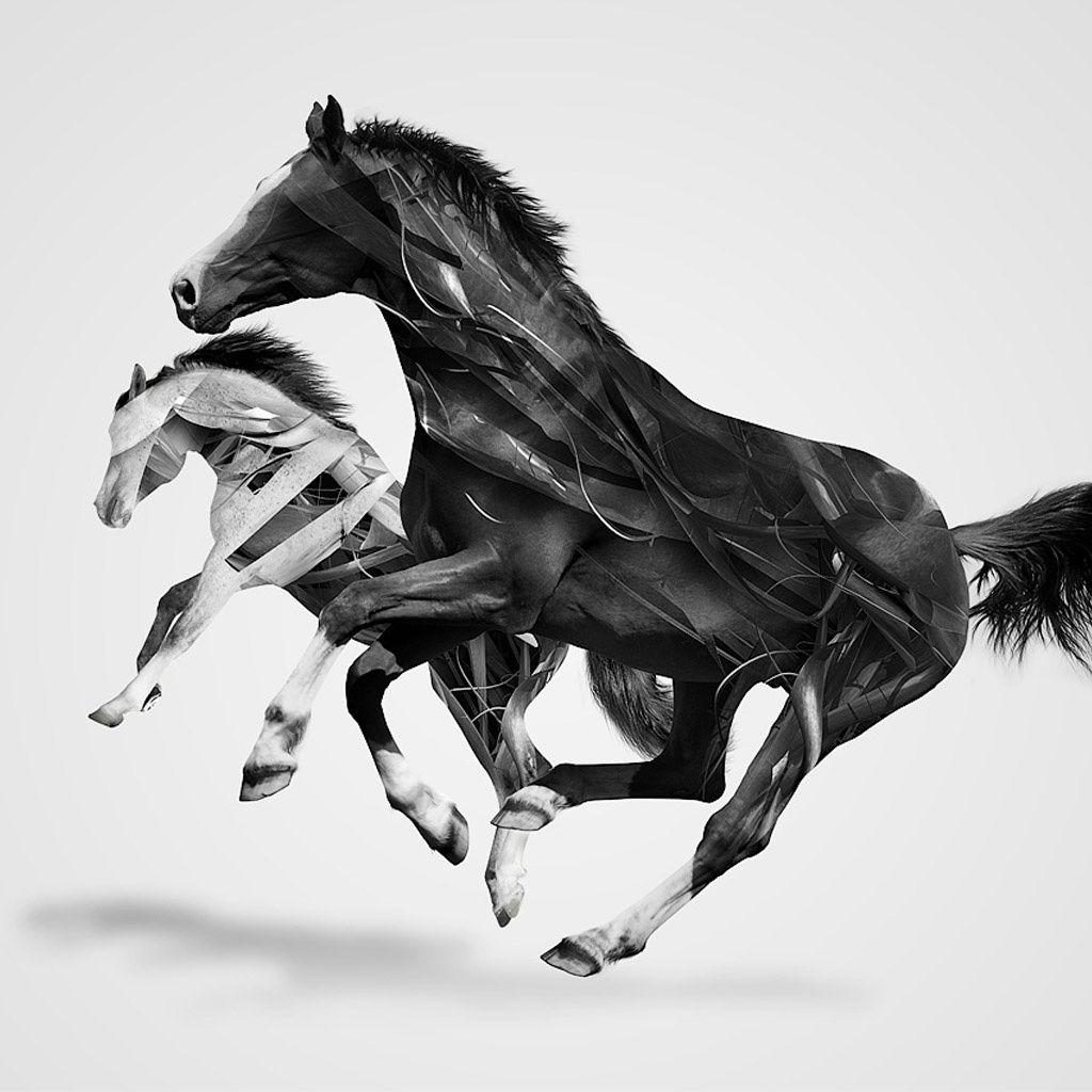 Abstract Horse Wallpapers - Top Free Abstract Horse Backgrounds - WallpaperAccess