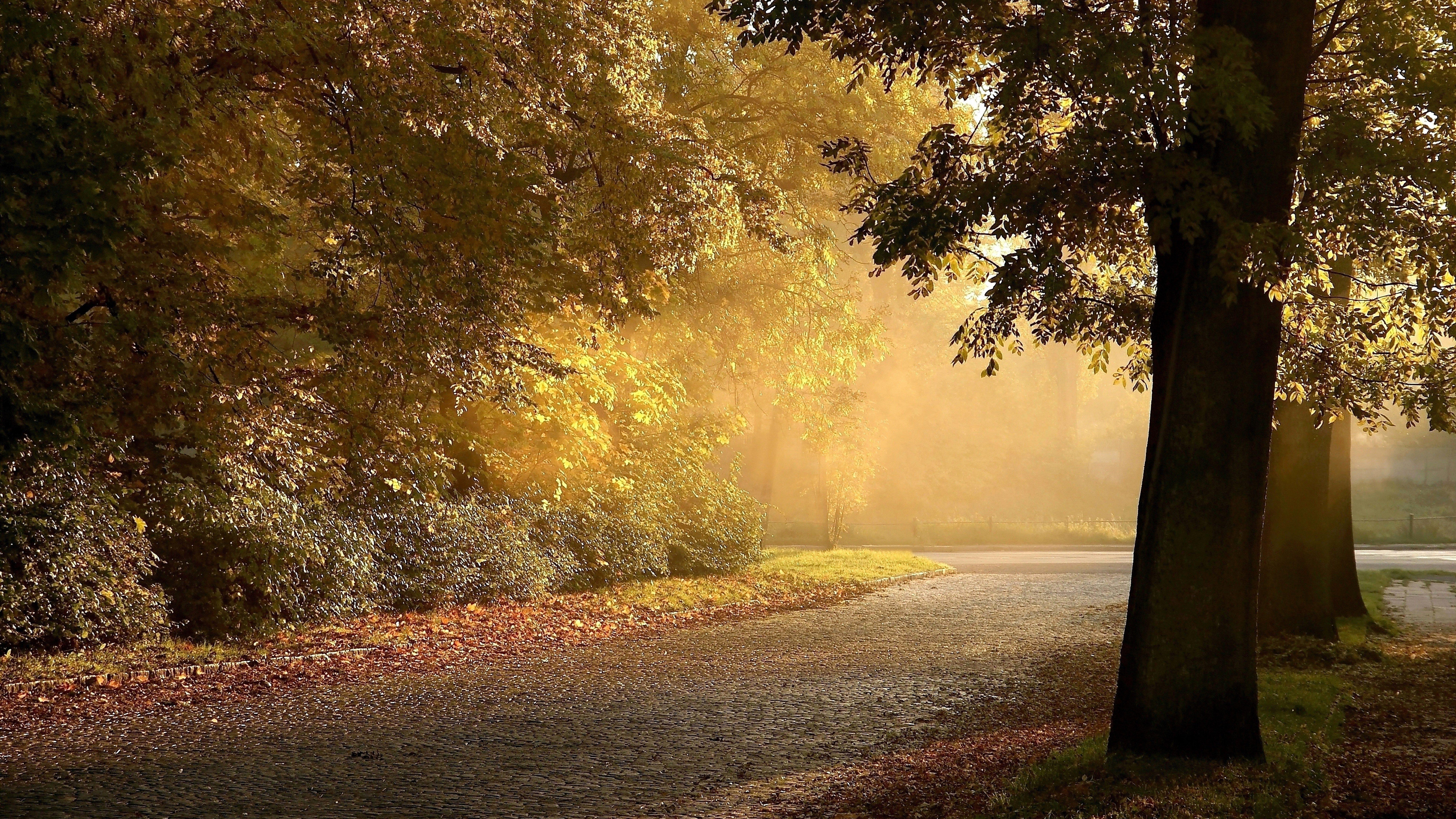 7680x4320 hd 8k wallpaper landscape wallpaper and background