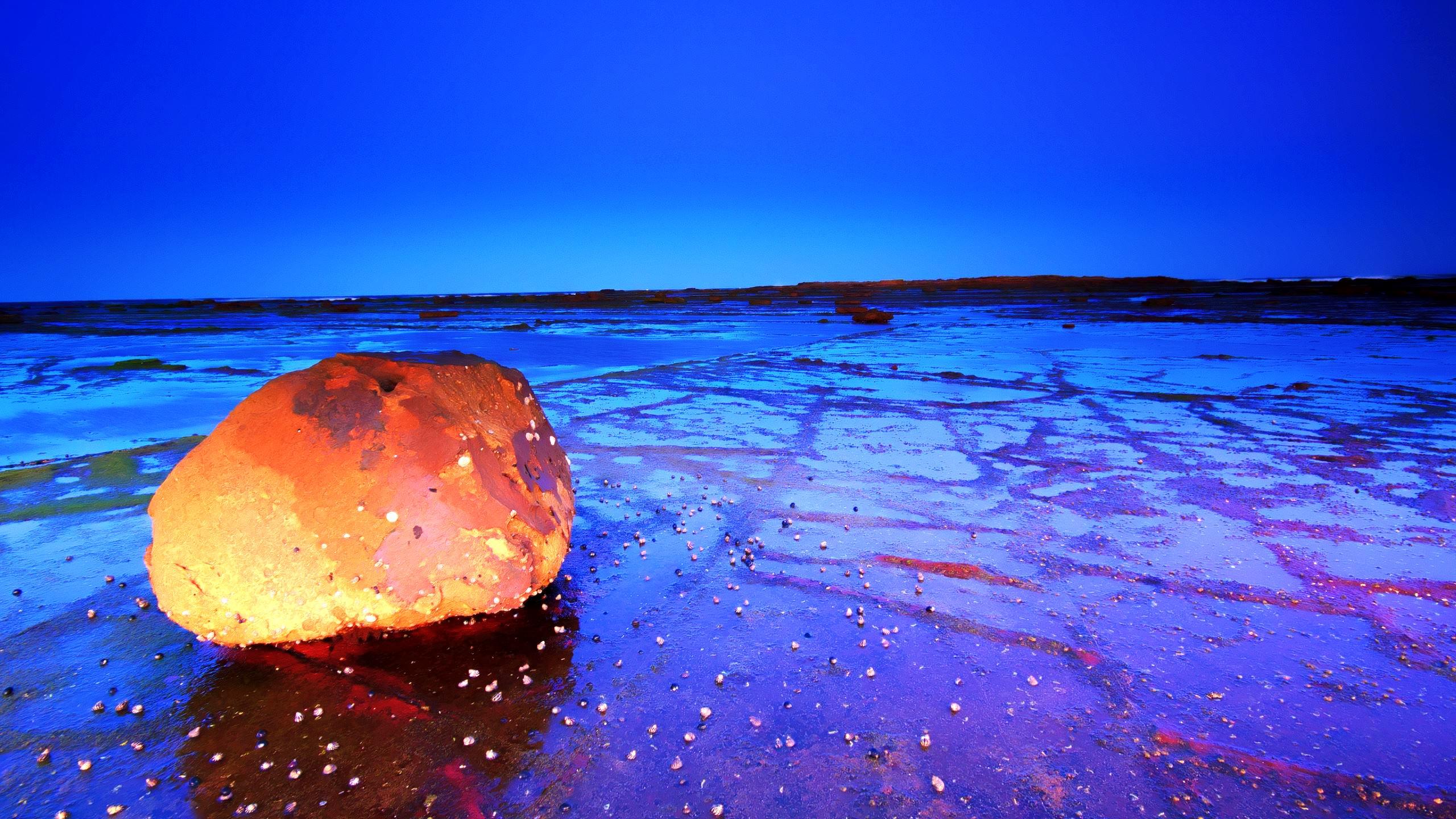 2560x1440 Cute Rocks At Beach Picture Wallpaper. High Resolution