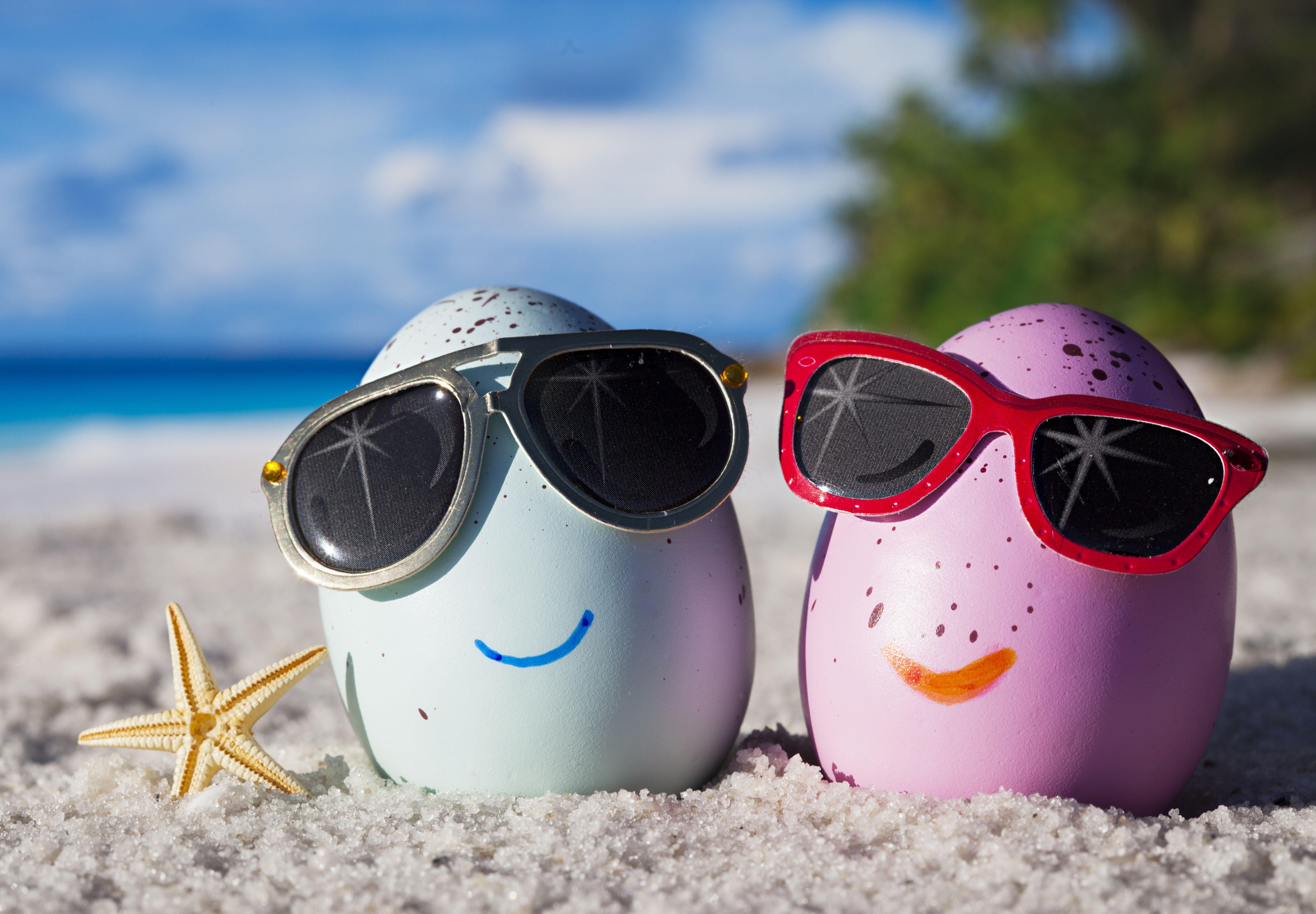 6500x4512 Summer 5k Retina Ultra HD Wallpaper. Background Image