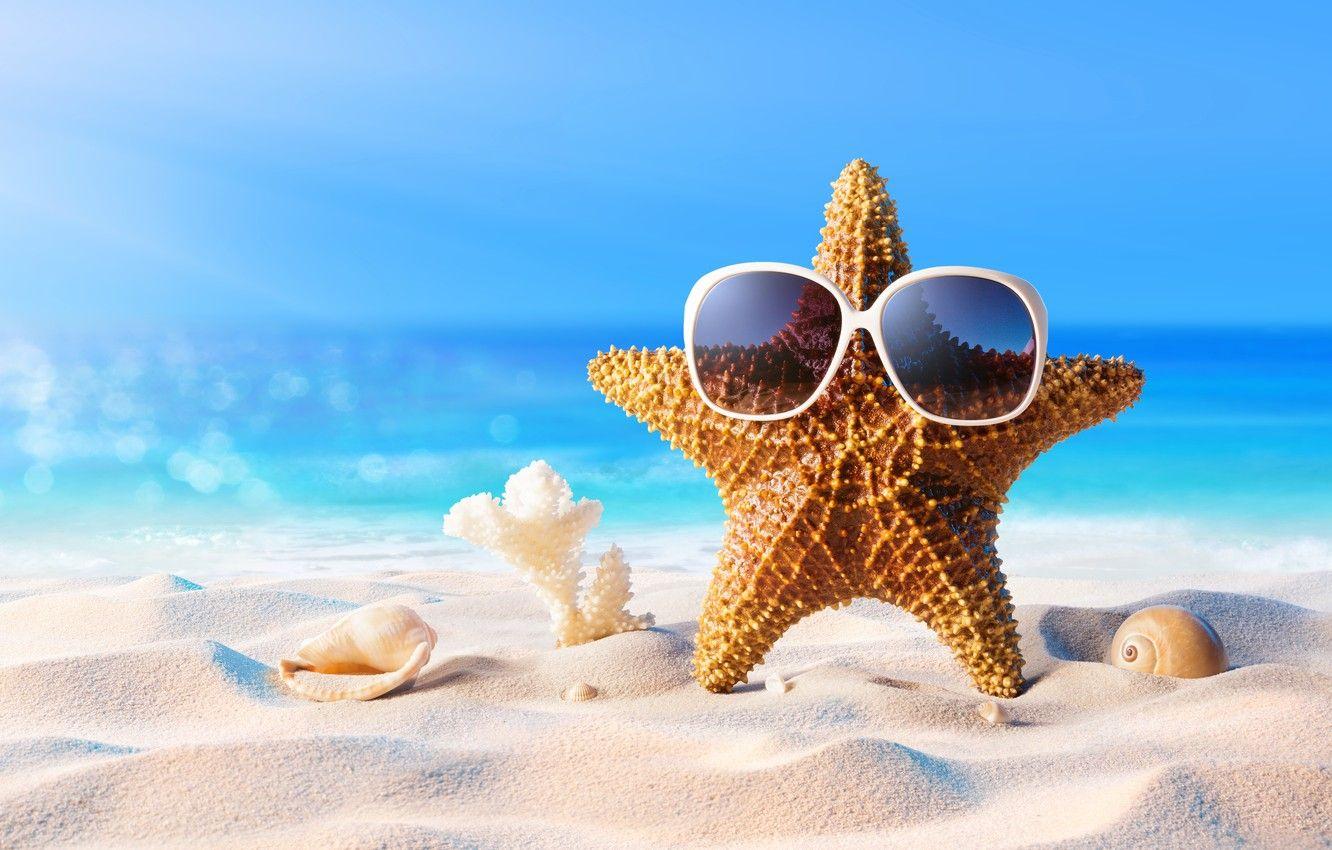1332x850 Wallpaper sand, sea, beach, summer, star, vacation, glasses