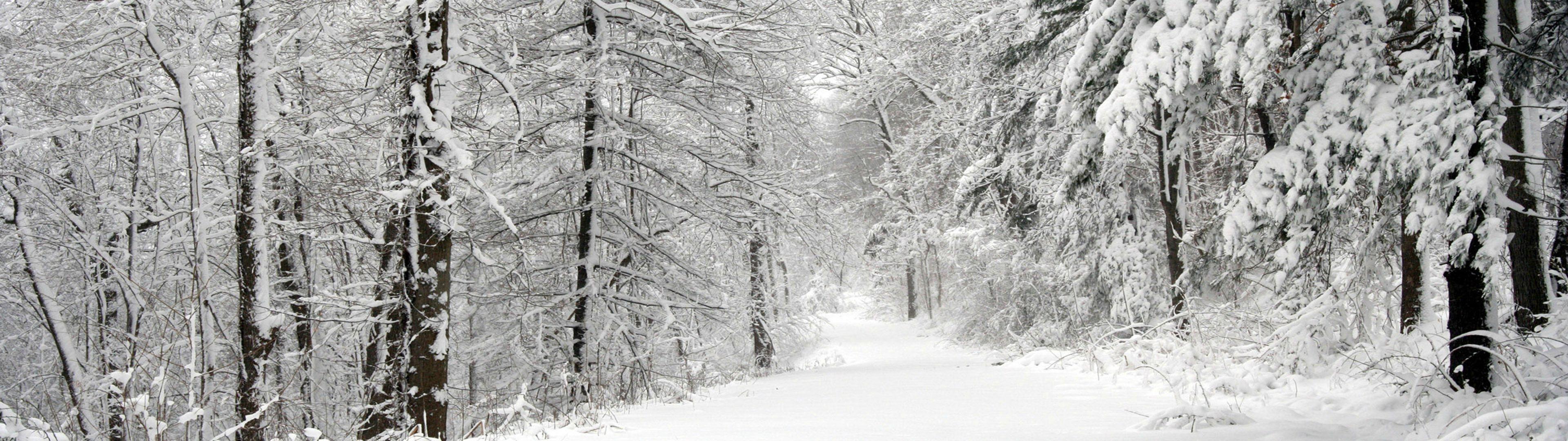 3840x1080 Dual Screen Wallpaper for you nice people