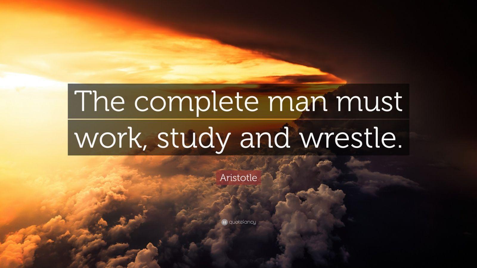 Excellence, aristotle quote, HD wallpaper | Peakpx