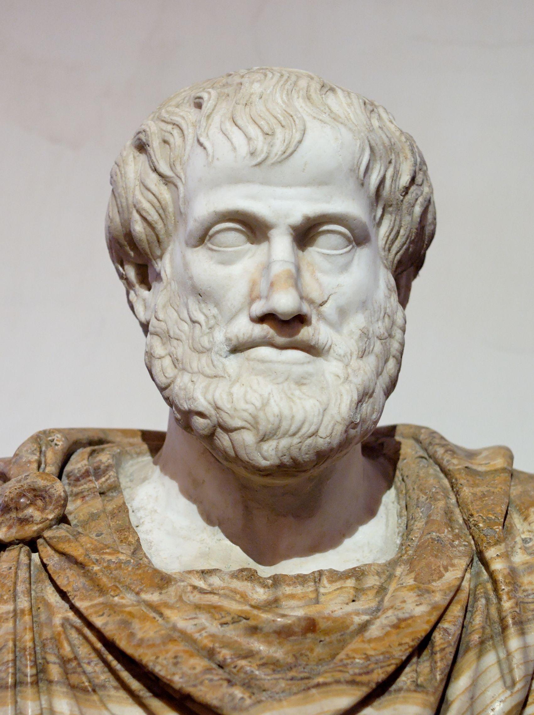 Aristotle Wallpapers - Top Free Aristotle Backgrounds - WallpaperAccess