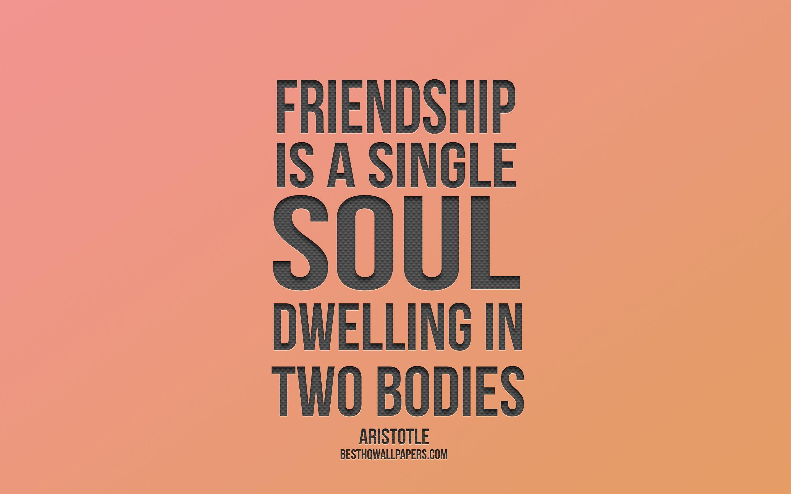 2560x1600 Download wallpaper Friendship is a single soul dwelling