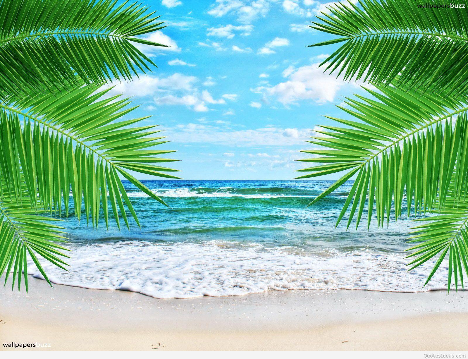 Summer Tropical Aesthetic Wallpapers  Wallpaper Cave