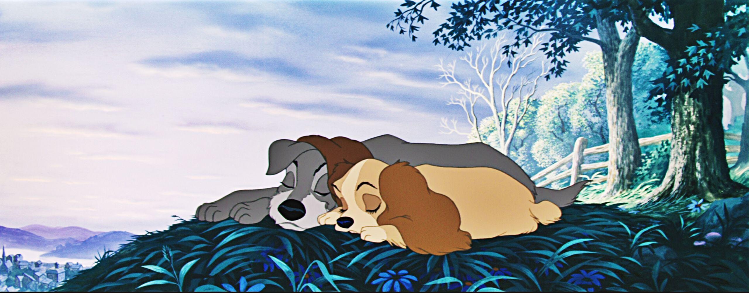 2560x1004 Lady And The Tramp Wallpaper 20 X 1004