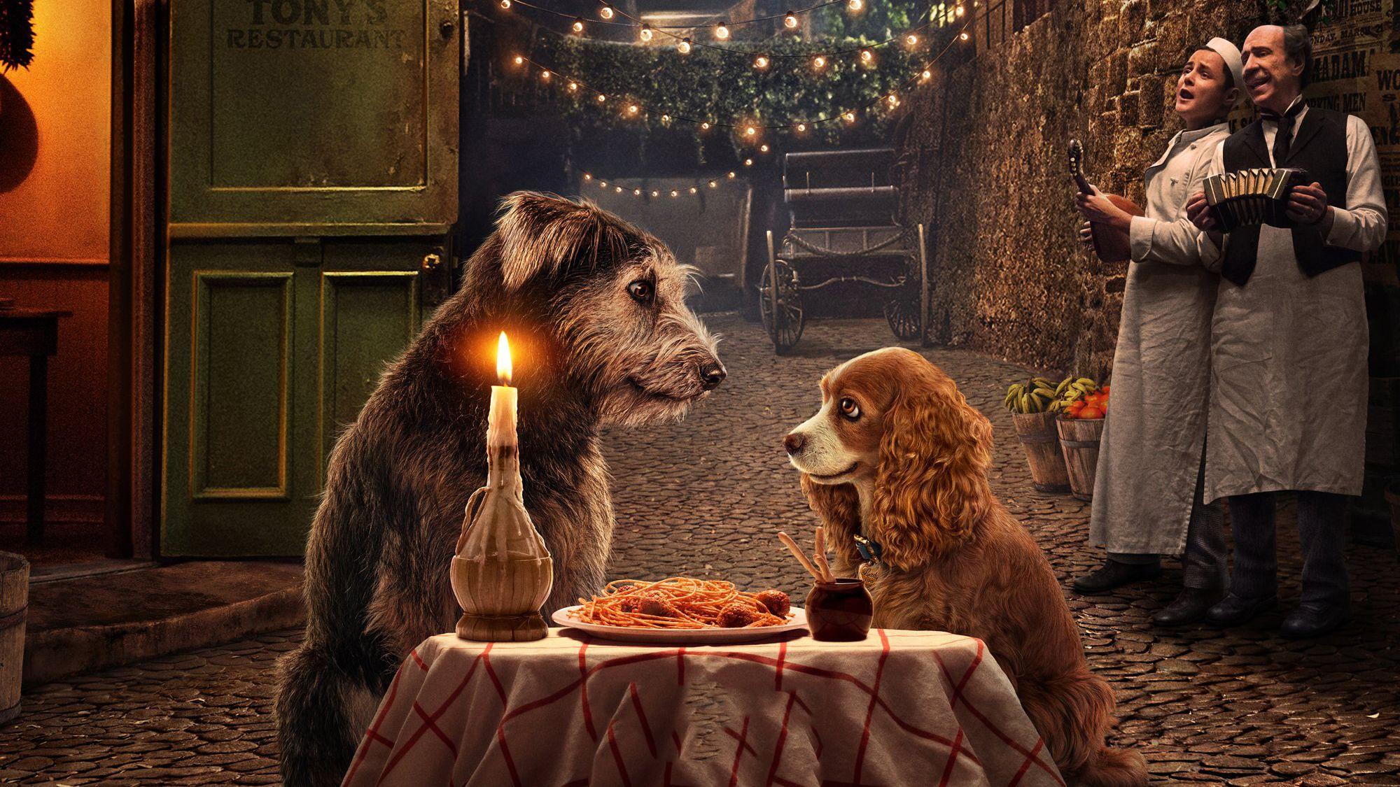 2000x1125 LADY AND THE TRAMP HD Tv Shows, 4k Wallpaper, Image