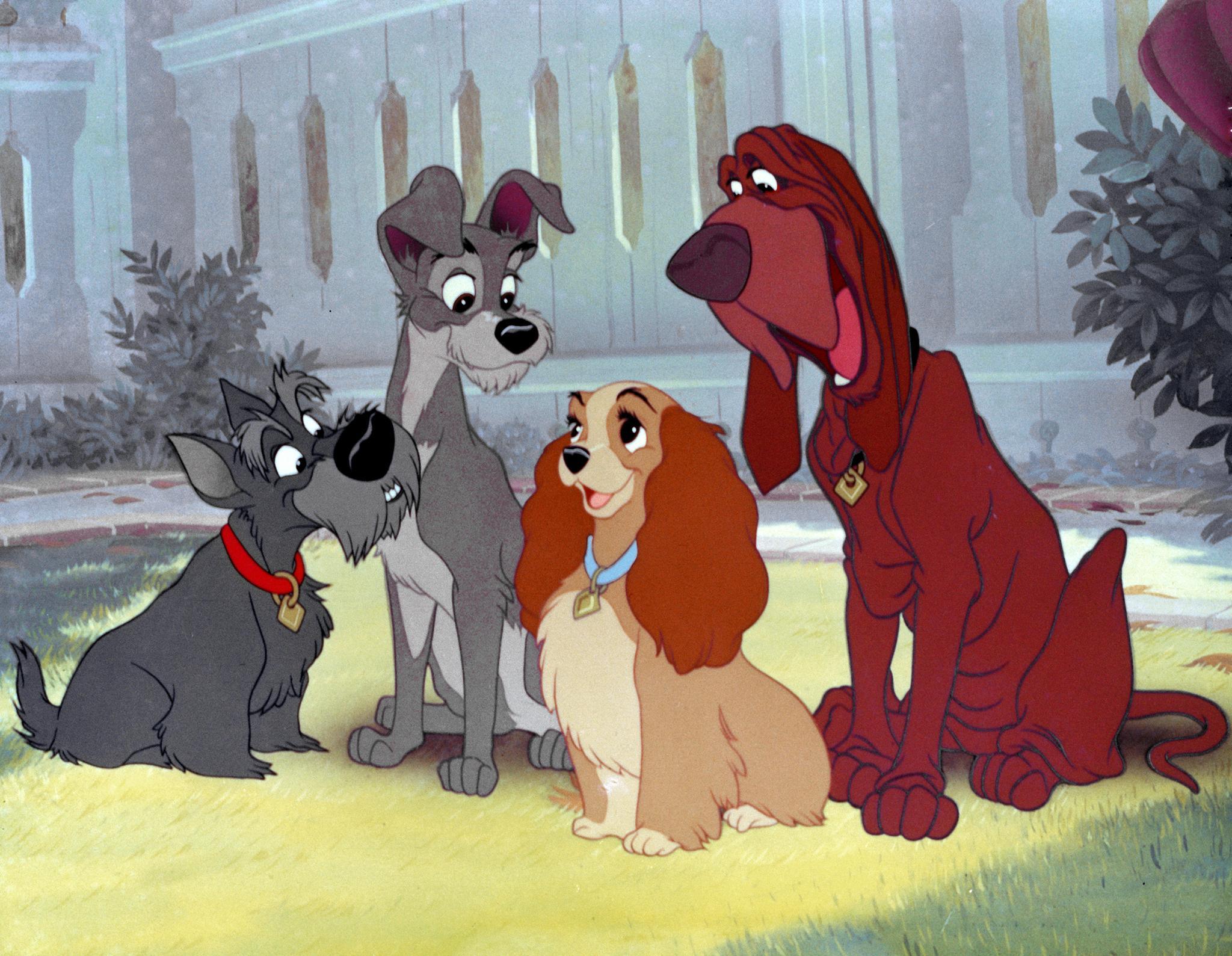 2048x1589 Lady And The Tramp Wallpaper 17 X 1589