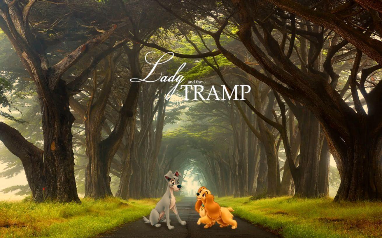 1310x819 Lady And The Tramp Wallpaper