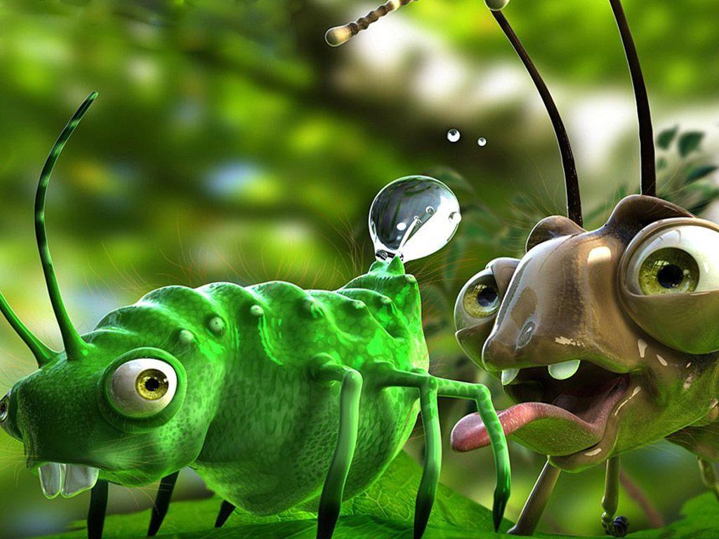 1024x768 Funny insect image. Funny Animal