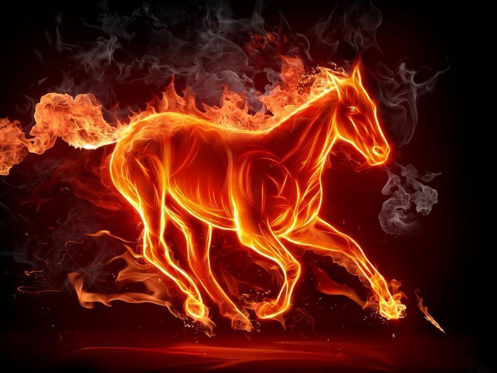 1024x768 Fire Flame Lion Wallpaper Hình nền lửa 3D lửa HD lửa.  Ngọn lửa