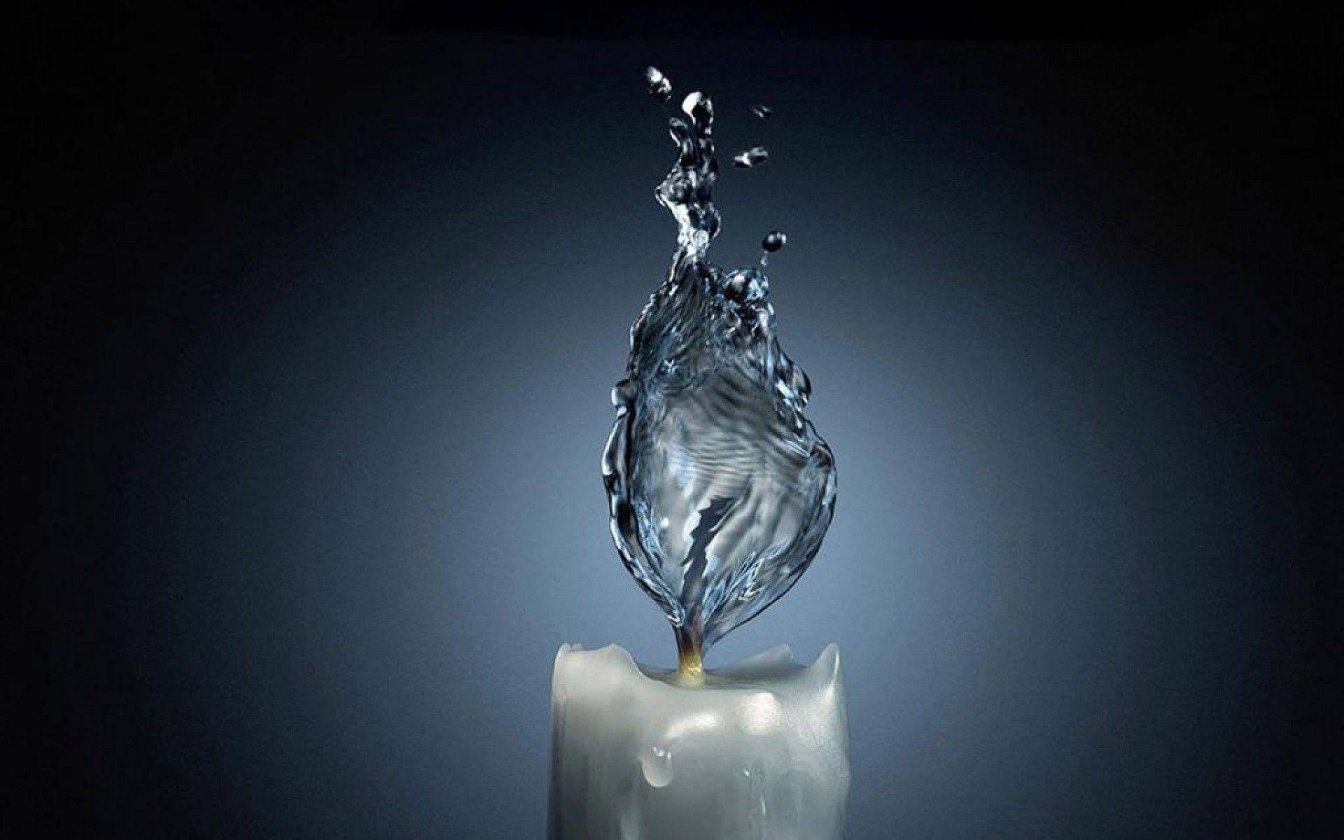 1920x1200 Moving Fish Wallpaper For Phones.Top D Aquarium Wallpaper. Coral