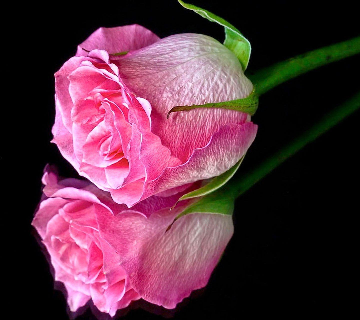 1440x1280 Awesome 3D Love Wallpaper for Mobile for touch Screen Free