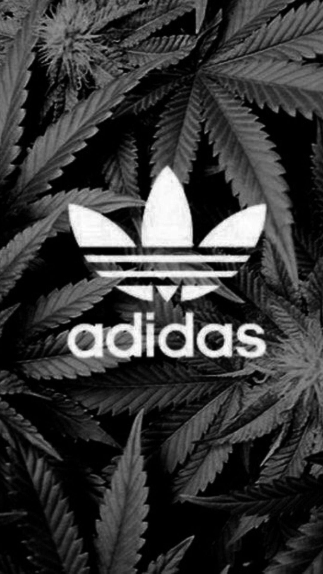 Adidas Weed Wallpaper Hd