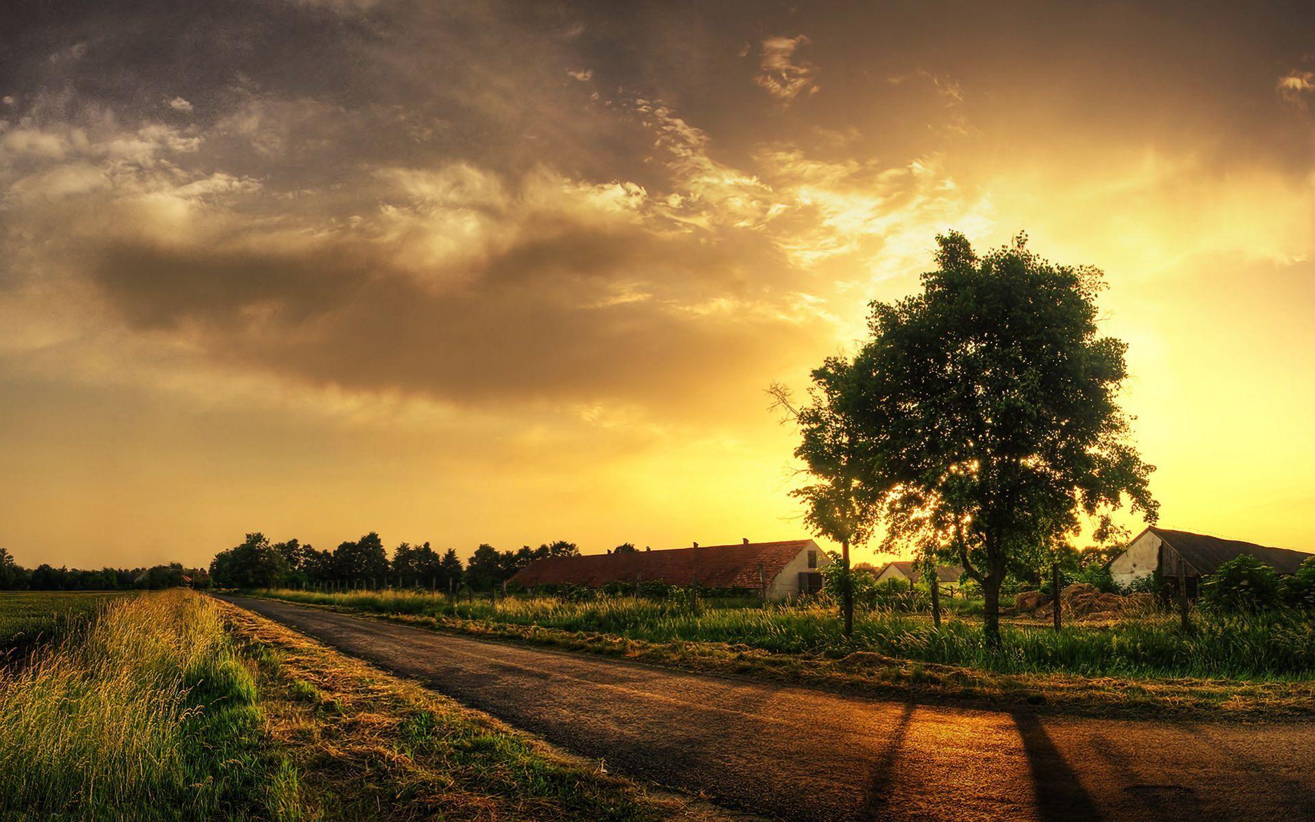 beautiful farm scenery